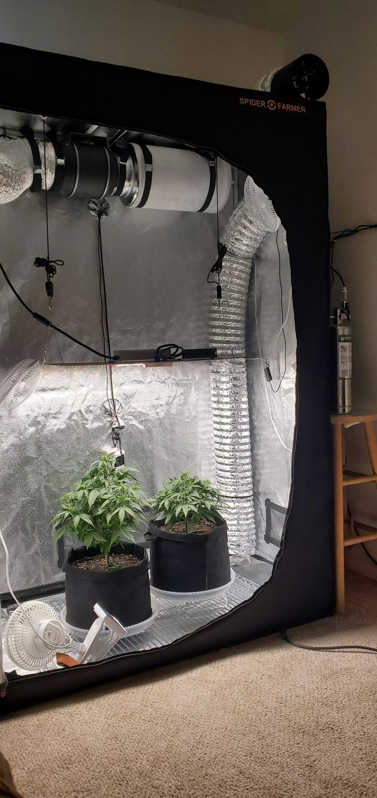 Spider Farmer 2x4 SF2000 200W Complete Grow Tent Kit with GGS Auto Control customer photo 2