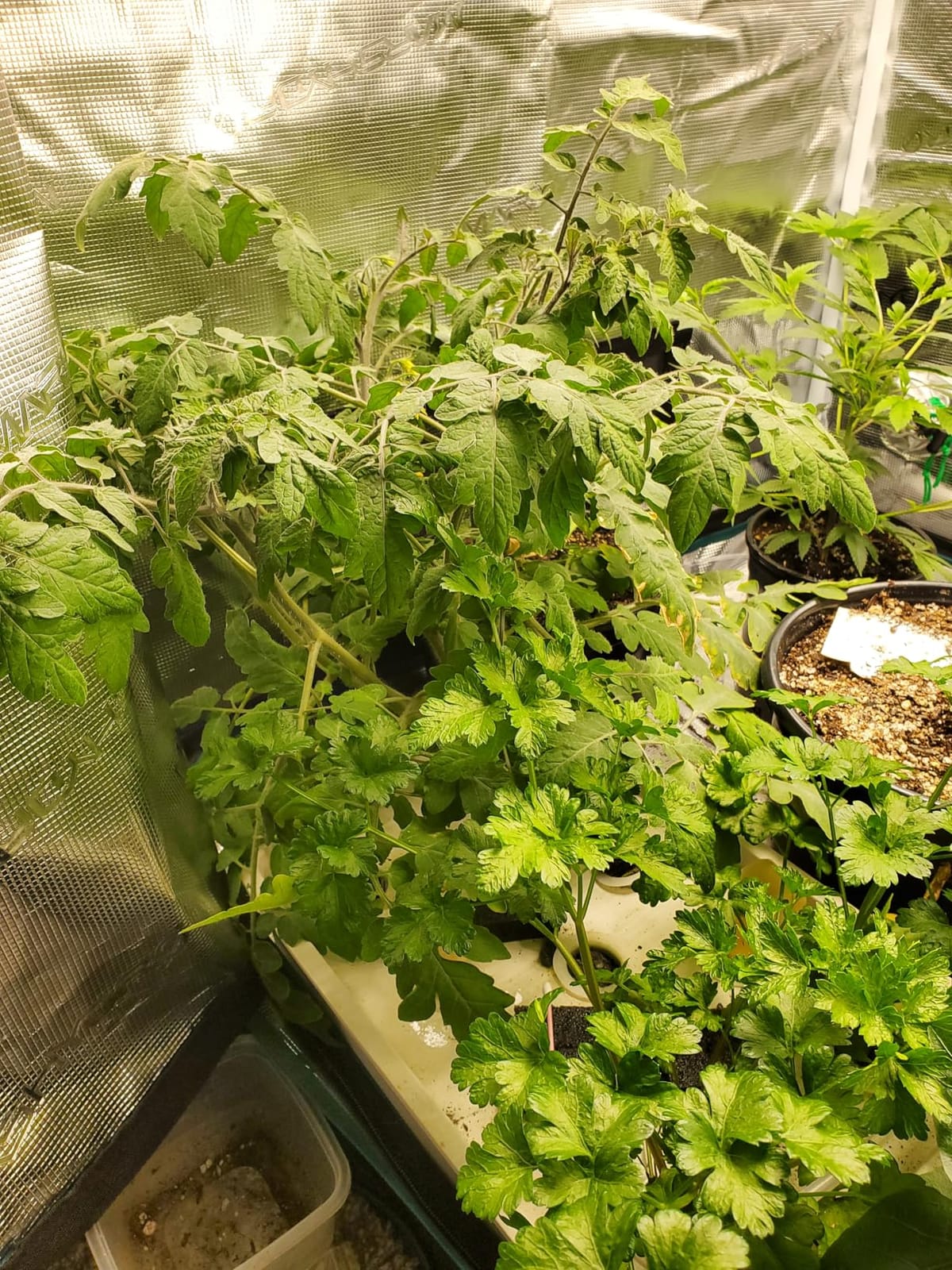 MARS HYDRO 3x3 Smart Grow Tent Kit with TS1000 with iControl Controller customer photo 1