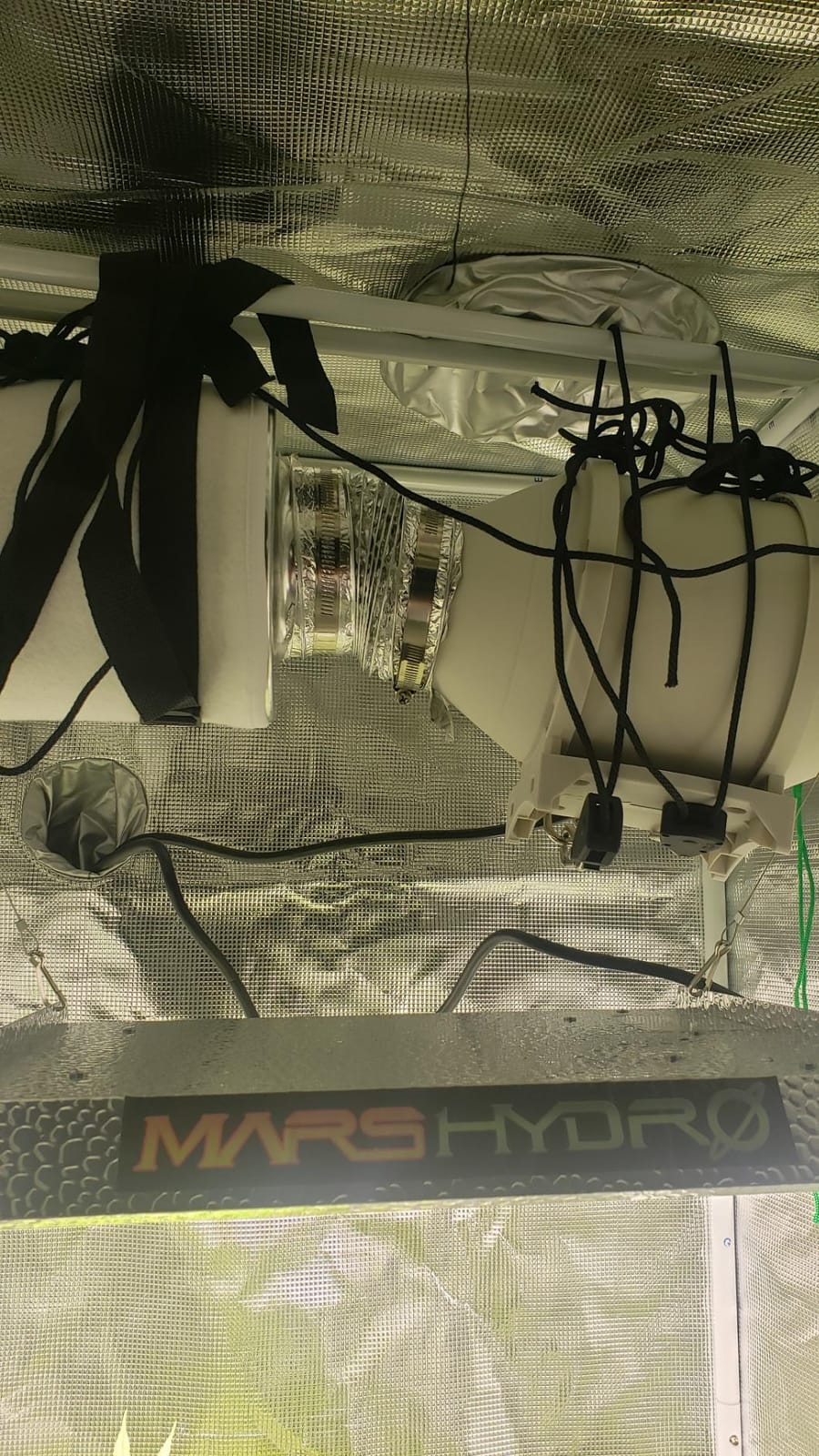 MARS HYDRO 2x2ft Grow Tent Kit with TS600 100W Full Spectrum LED Grow Light customer photo 1