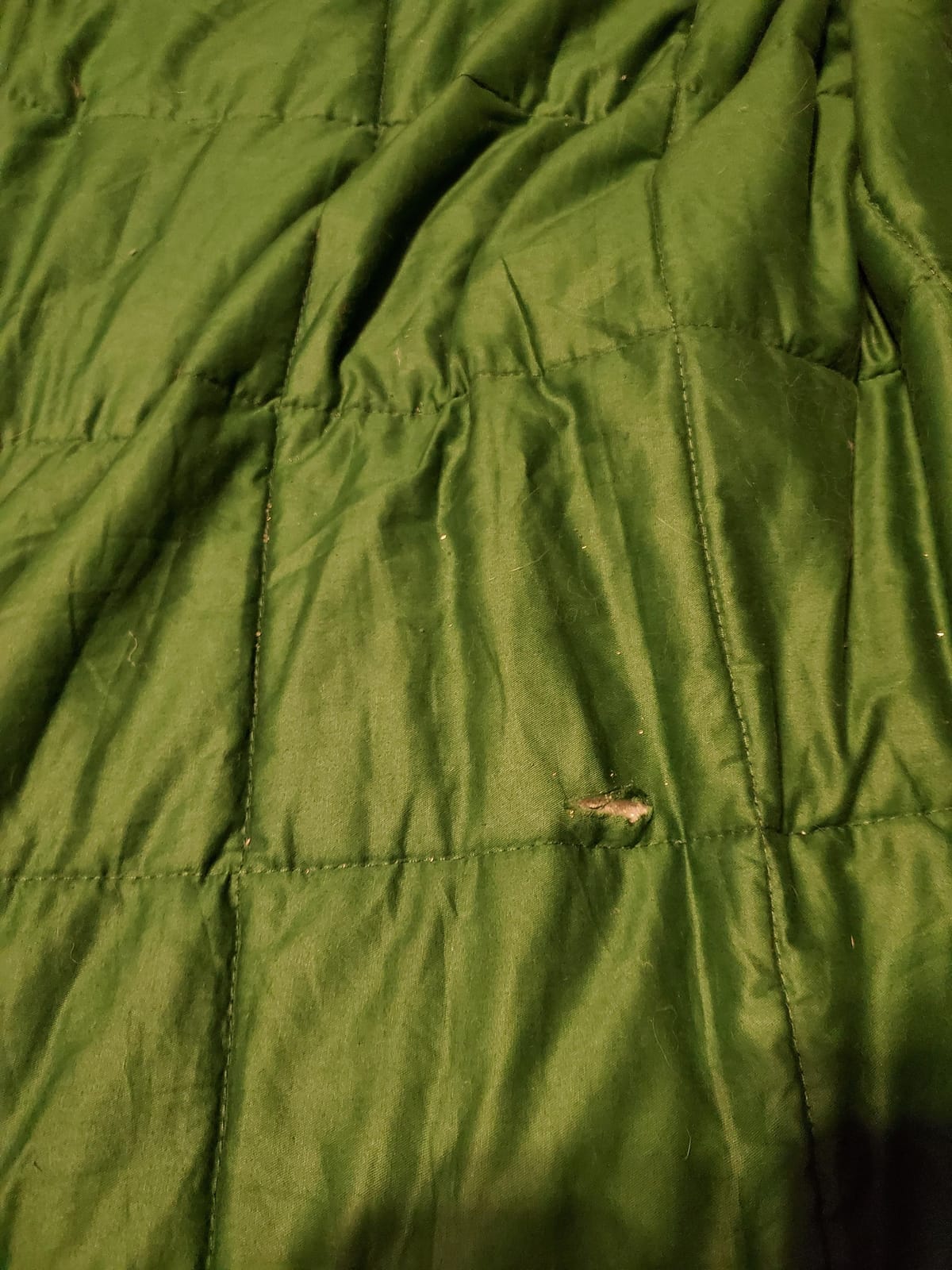 TONGDADA Kids Weighted Blanket | 40''x60'',10lbs | for Child Between 80-125 lbs | Premium Cotton Material with Glass Beads | Dark Green customer photo 1