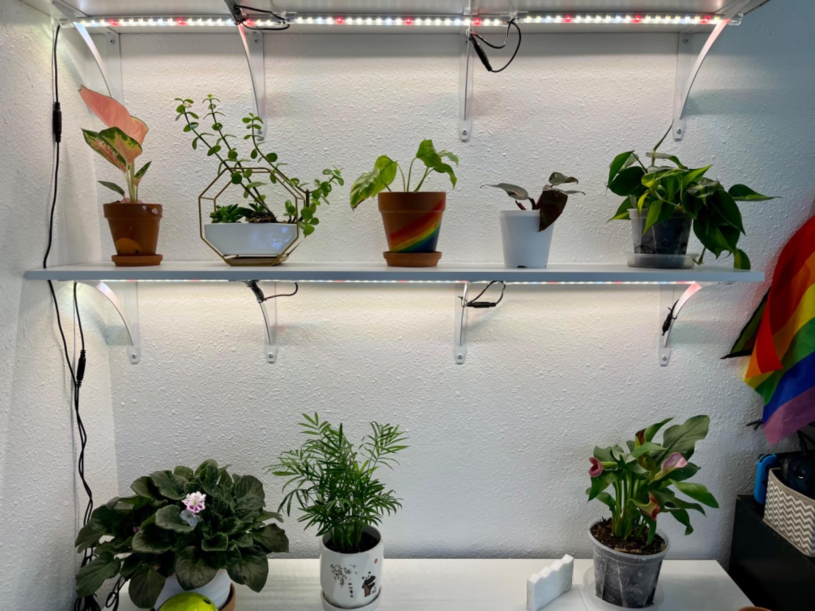 LED Grow Lights Strips for Indoor Plants with Auto ON & Off Timer, T5 Sunlike Full Spectrum Grow Lights Bar Growing Lamps for Greenhouse Shelves Hydroponics Succulent, 4 Dimmable Levels customer photo 1