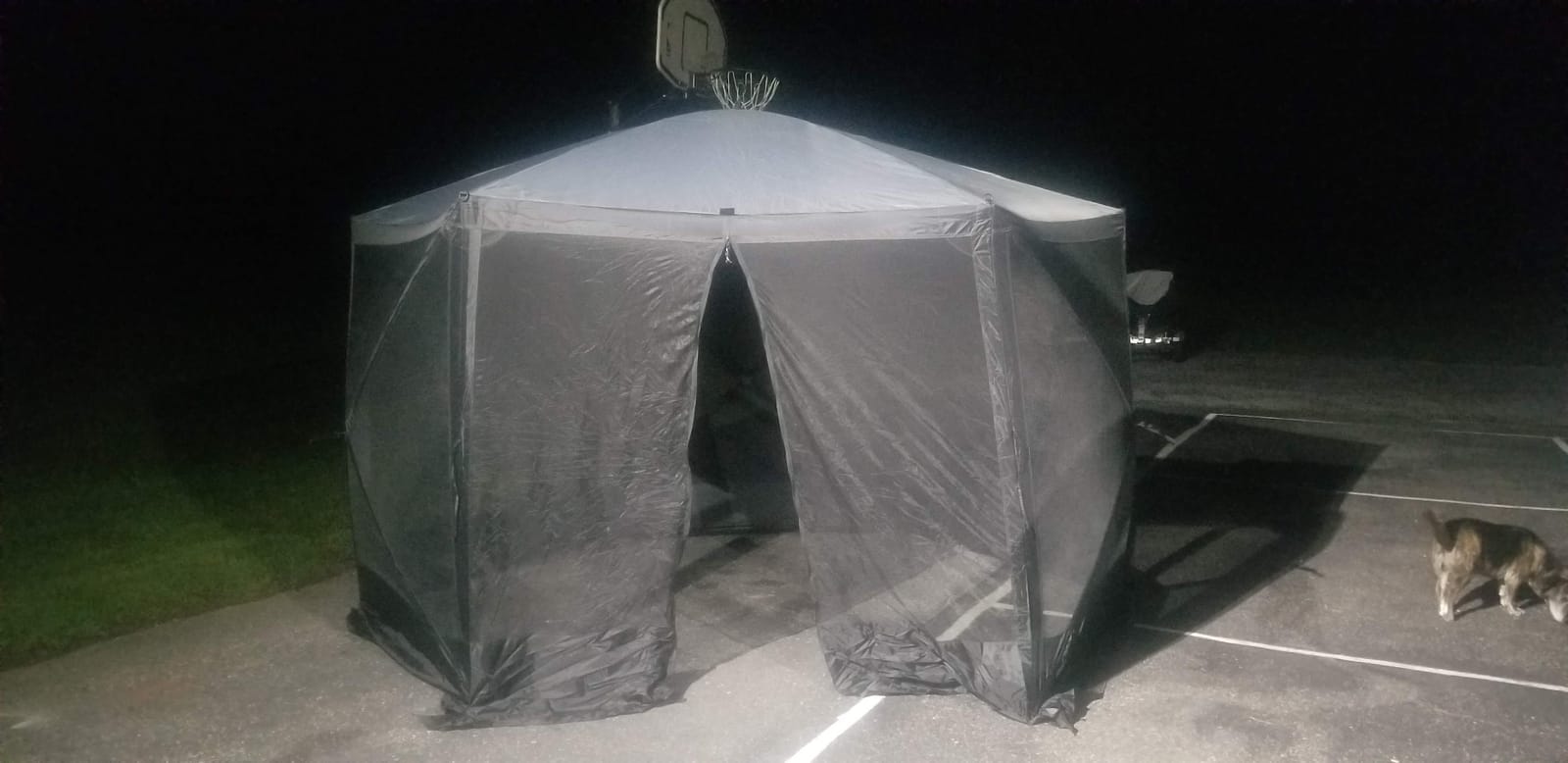 EVER ADVANCED Pop Up Gazebo Screen House Tent for Camping 11.5 ft for 8-10 Person Instant Canopy Shelter with Netting Portable for Outdoor, Backyard, Black customer photo 1