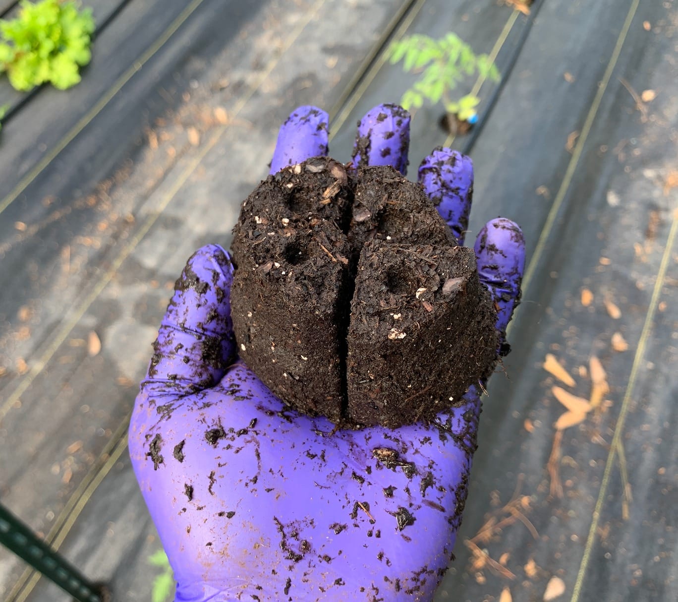 Fiskars Garden Soil Block Maker for Plant Seeds with Natural Air Pruning customer photo 1