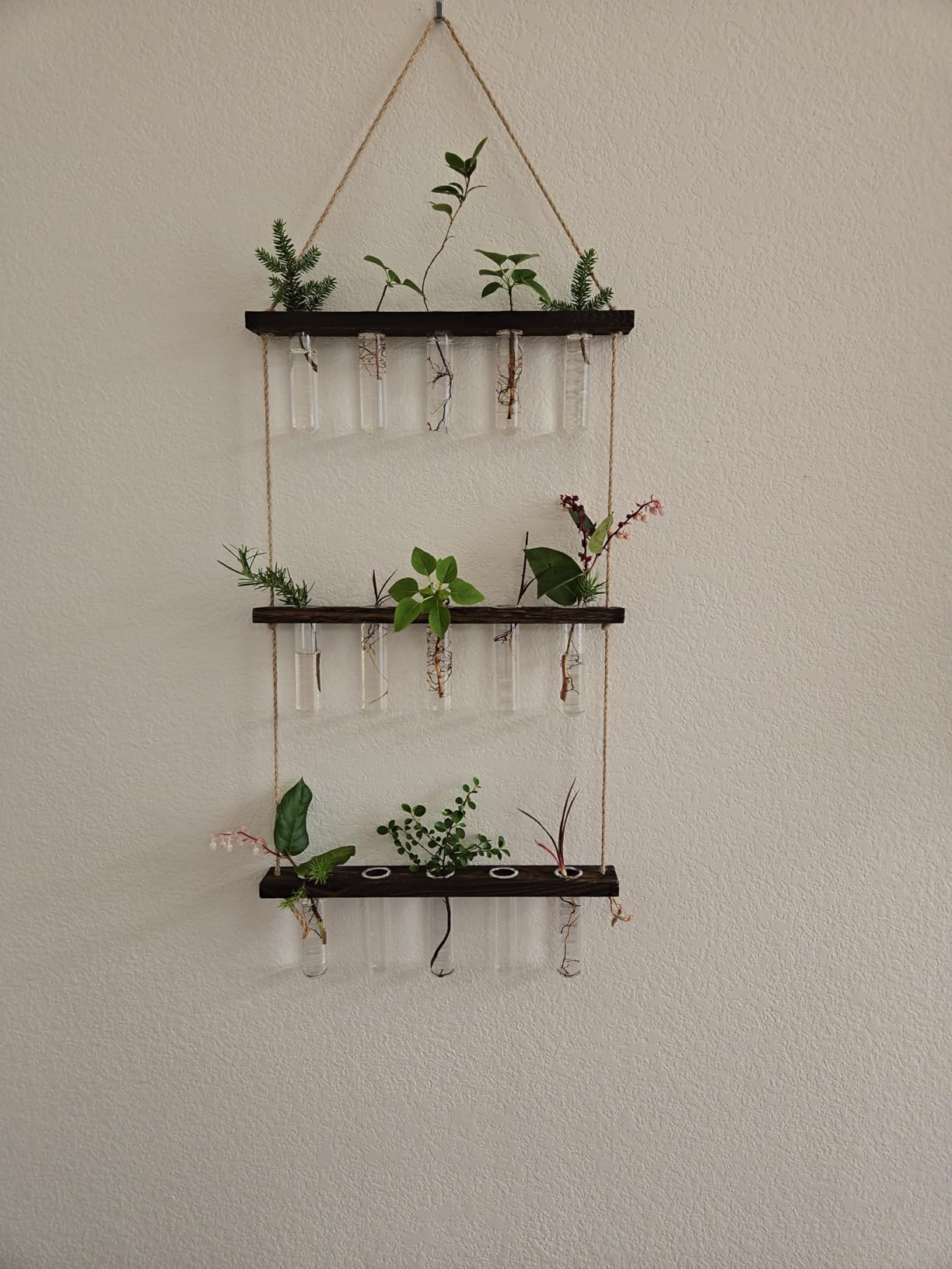Mkono Plant Propagation Station, 3 Tier Brown Wall Hanging Vase Test Tubes customer photo 1