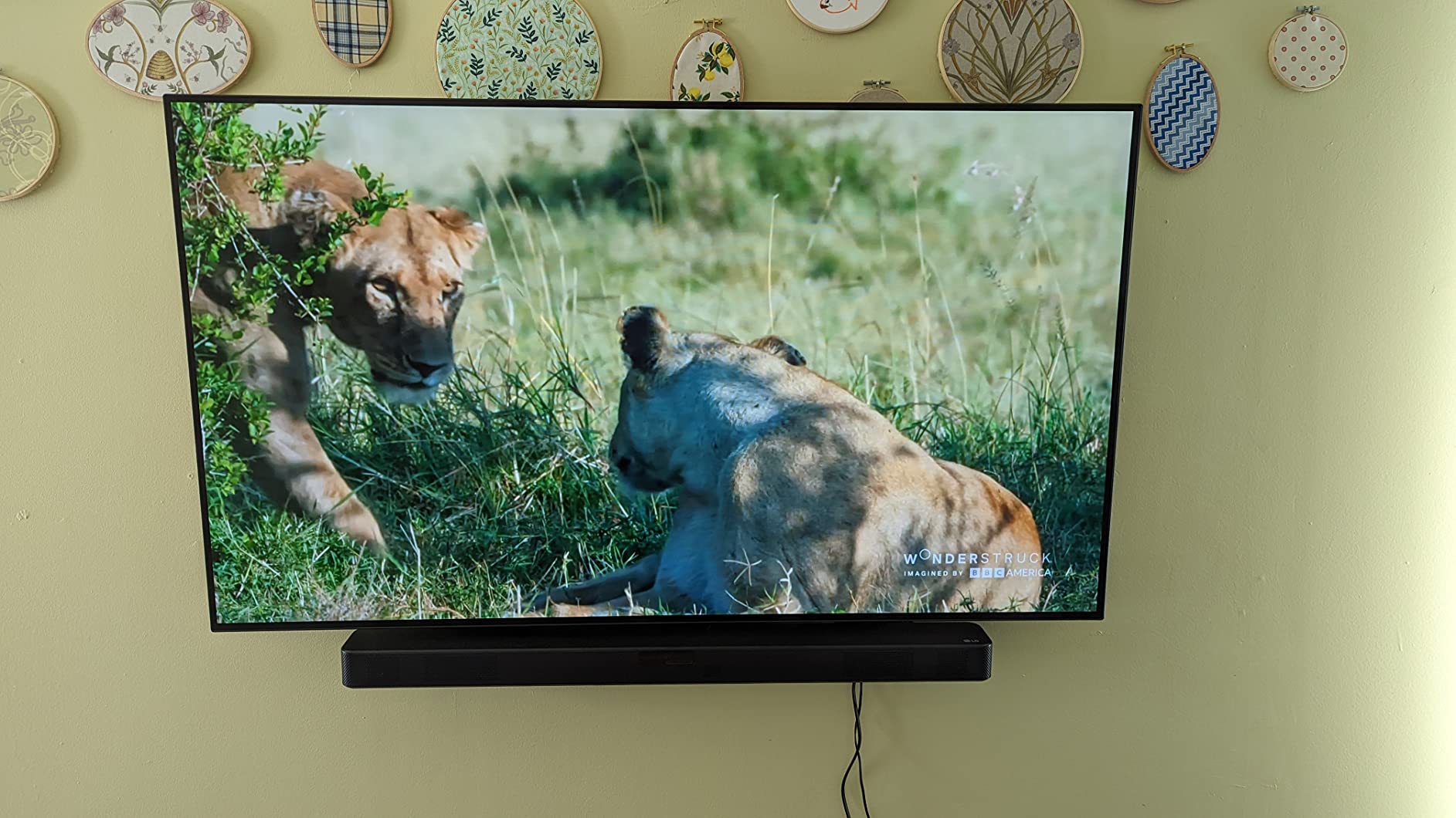 LG OLED C1 Series 55” Alexa Built-in 4k Smart TV (3840 x 2160), 120Hz Refresh Rate, AI-Powered 4K, Dolby Cinema, WiSA Ready, Gaming Mode (OLED55C1PUB, 2021) customer photo 2