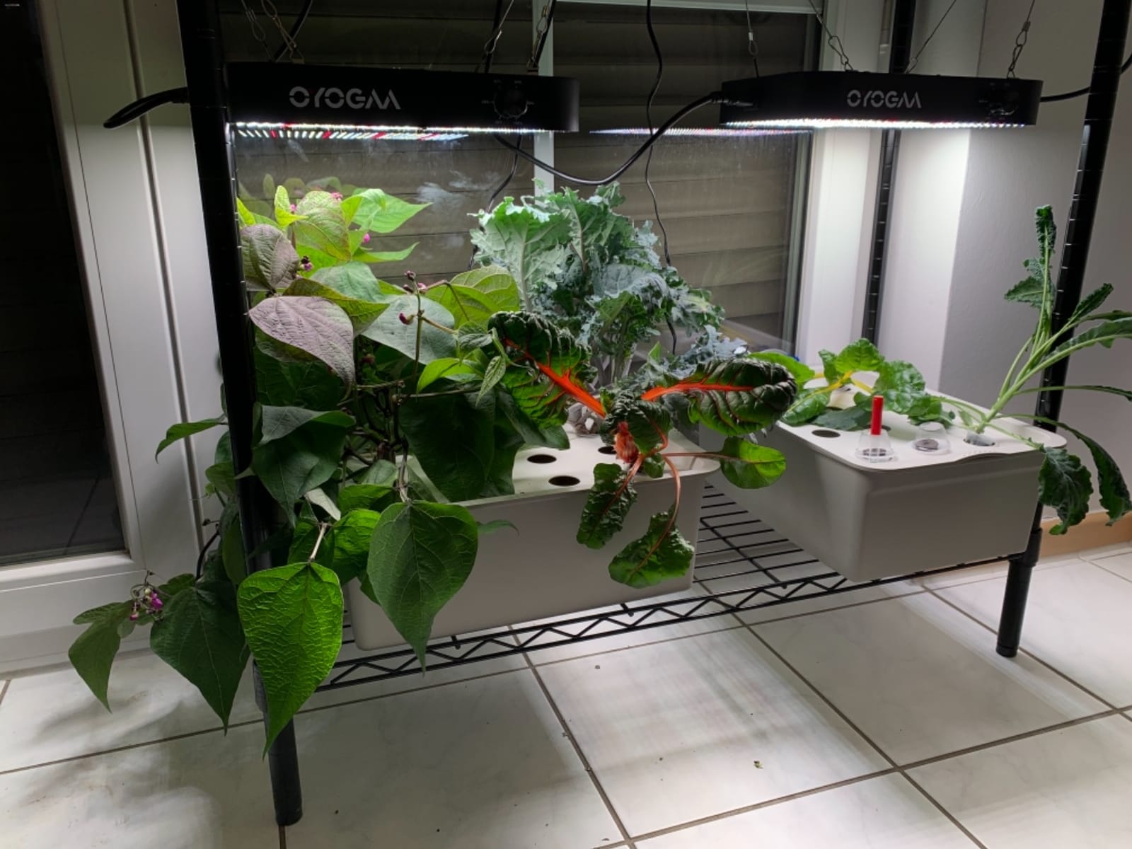 NATGAI Hydroponic System Growing Kit with Air Pump 12 Holes Soilless customer photo 2