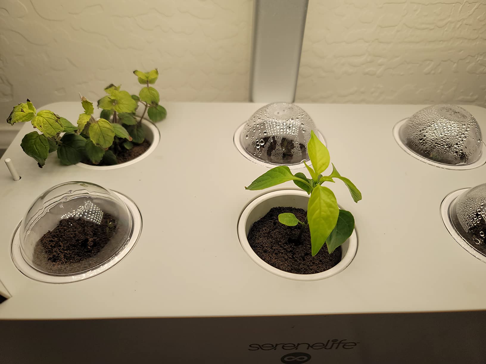 SereneLife Smart Starter Kit-Hydroponic Herb Garden Indoor Plant System w/Height Adjustable LED Grow Lights, 6 pods, 3 Modes-Home Kitchen, Bedroom, Office SLGLF130 (Black) customer photo 1