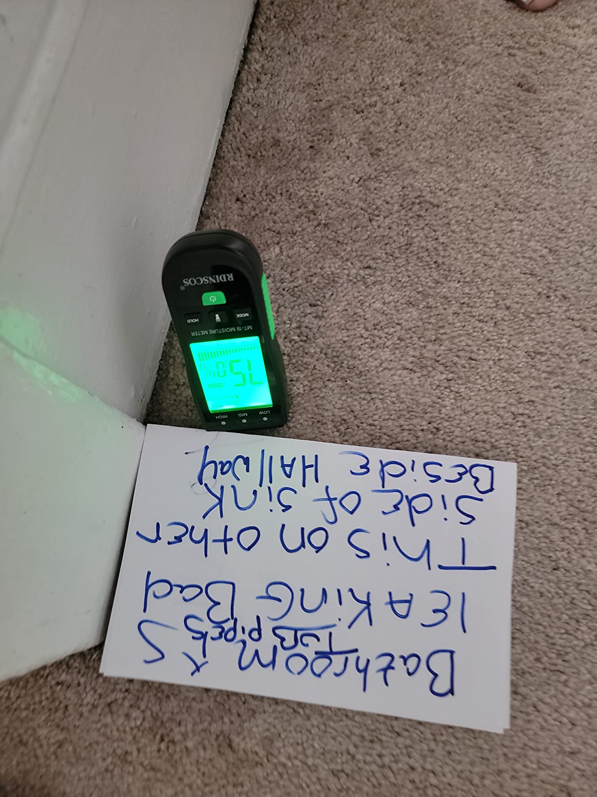 RDINSCOS Wood Moisture Meter for Firewood, Softwood, Hardwood customer photo 1