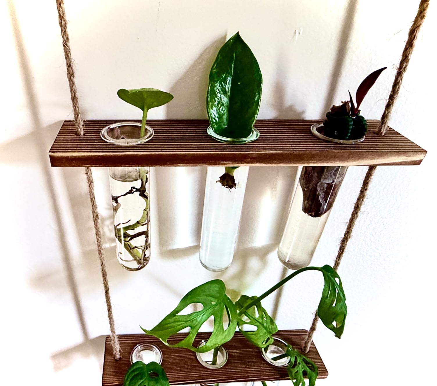 XXXFLOWER Wall Hanging Propagation Station with Wooden Stand Glass Test Tubes Tiered Planters Wall Terrarium for Home Office Plant Hanger Flower Vases Wall Decor Hydroponic Cuttings (9 Tube Vases) customer photo 2