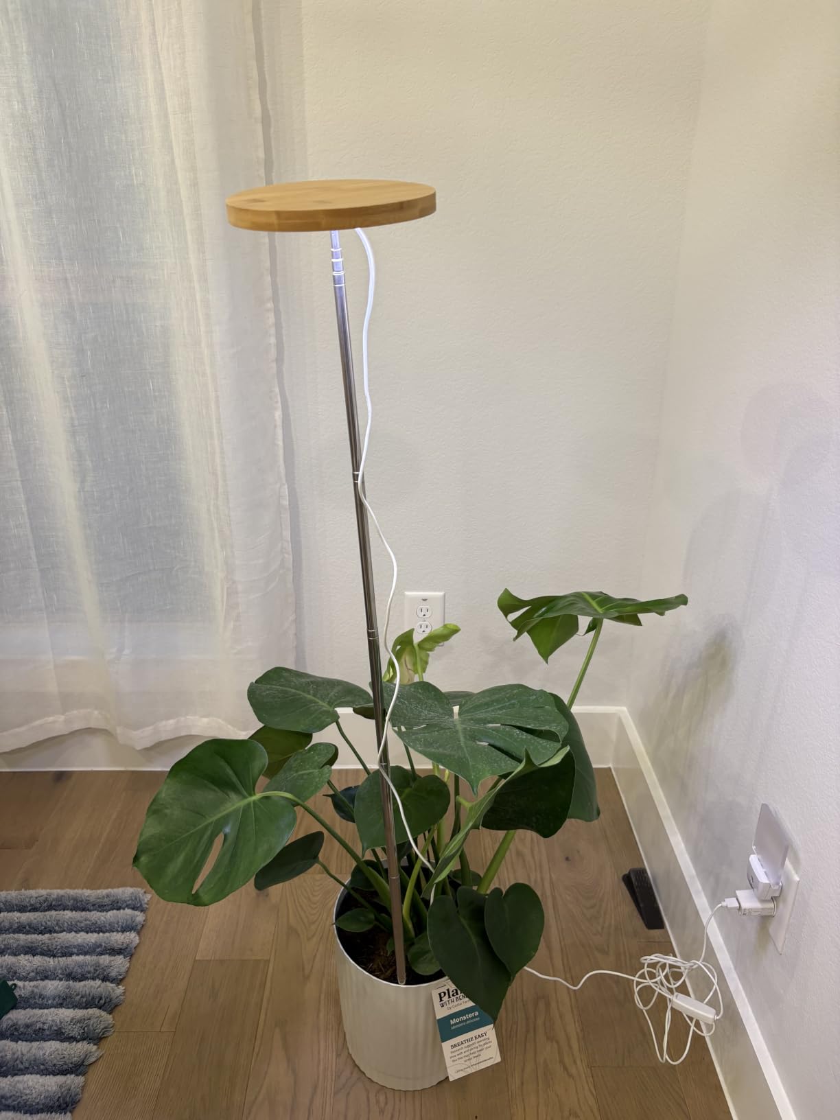 LORDEM Full Spectrum LED Grow Light for Indoor Plants customer photo 1