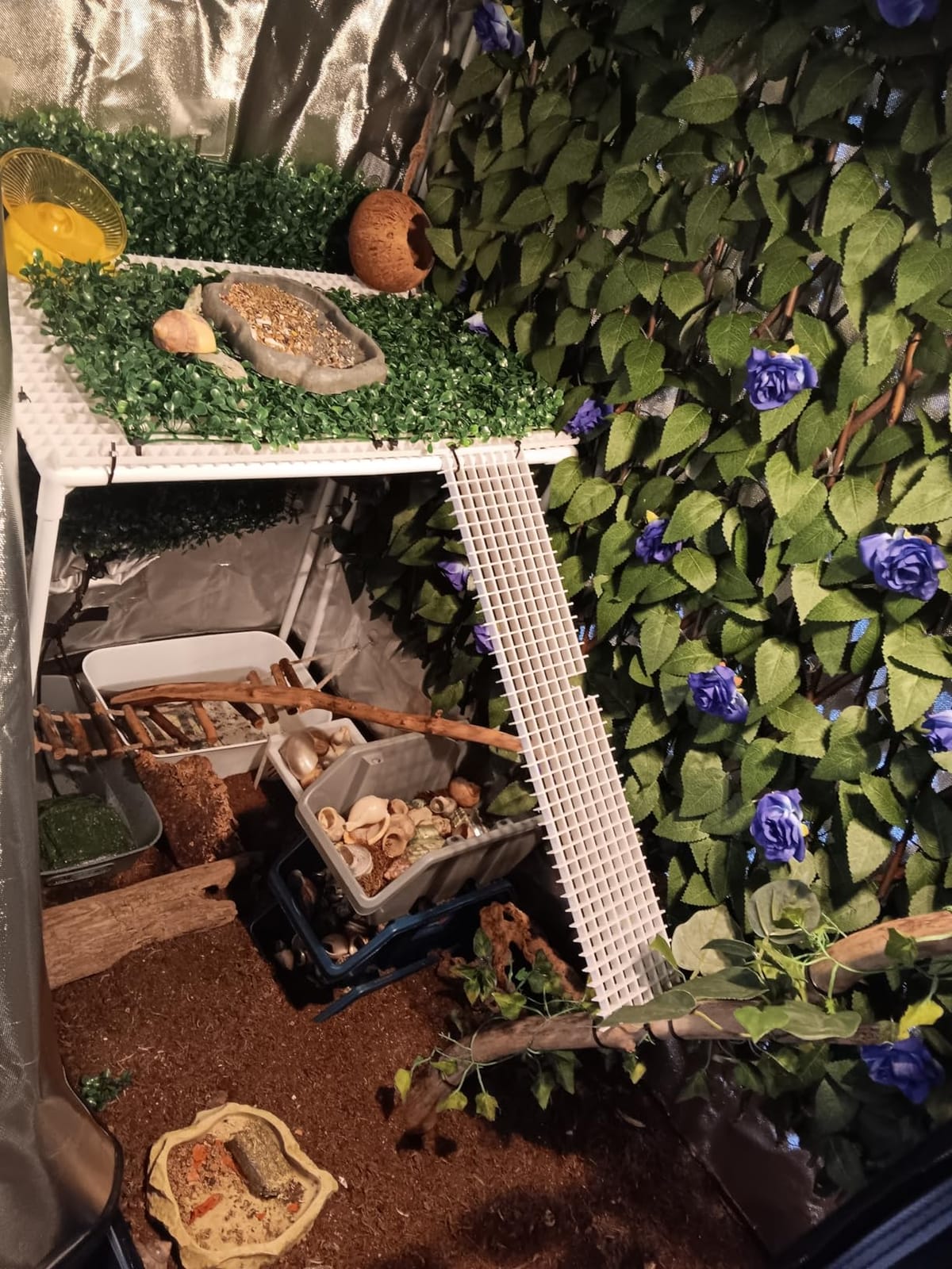 4x4 Grow Tent 48