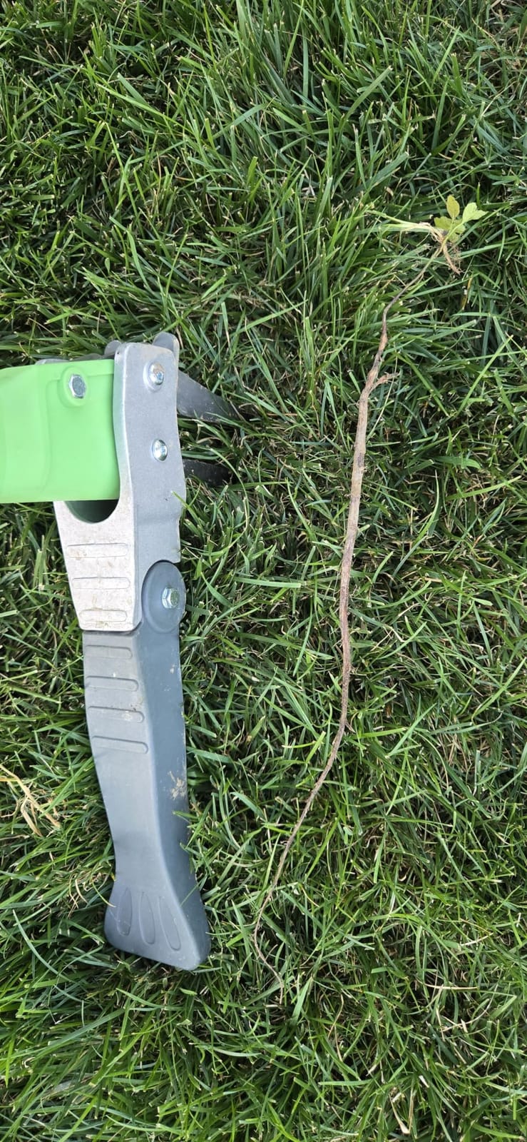 Grootpow WP5 Heavy Duty Weed Puller Tool, Stand Up Dandelion Weeder with 40