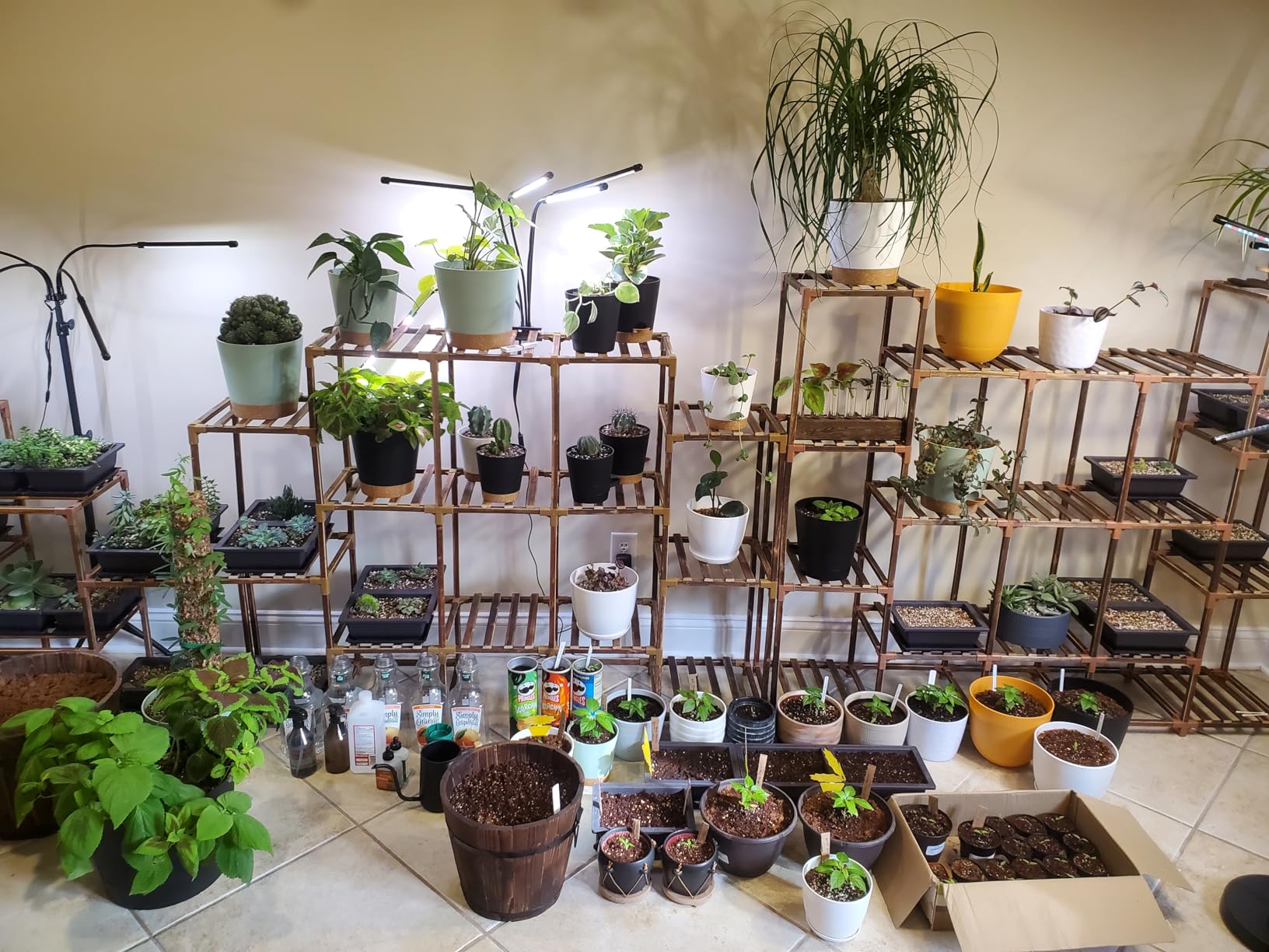 Plant Propagation Station, Plants Propagation Tubes customer photo 2