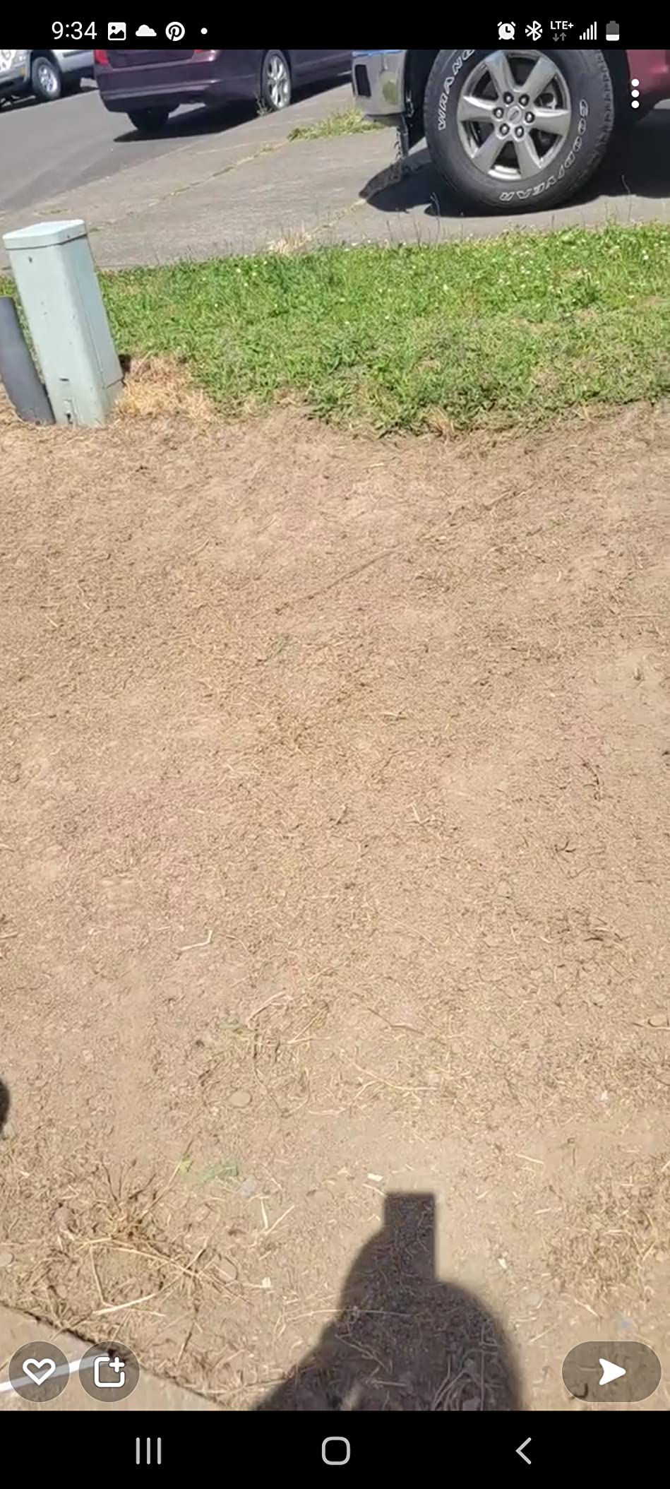 Garden Hoe For Weeding - Sharp Push Pull Blade,Stainless Steel Action Stirrup Hoe, 30-72inch Long Handle, Stainless Steel Scuffle Hoe For Outdoor Flower Beds, Yard, Mulch, Gravel,Raised Beds customer photo 2