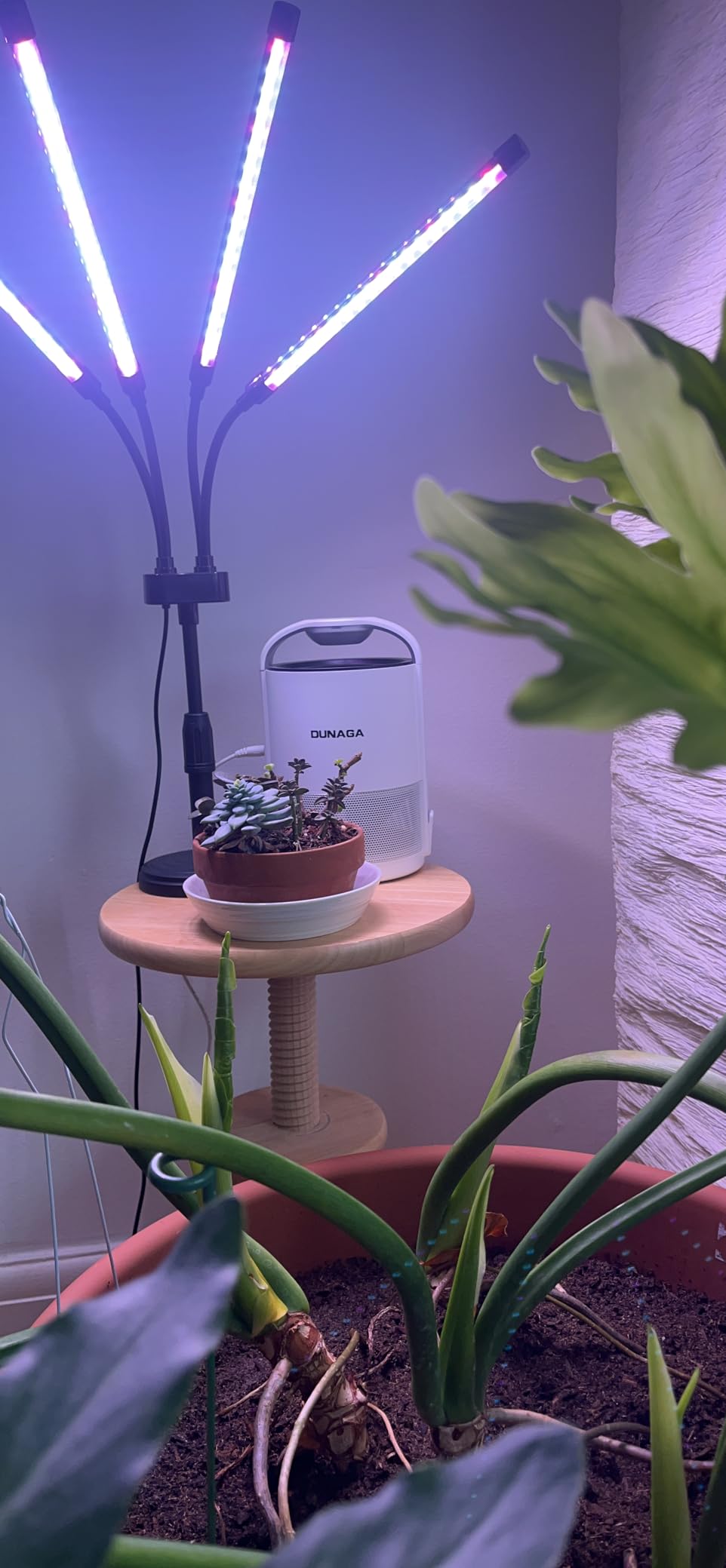 SYEIORAOM Grow Lights for Indoor Plants, Four Head LED Grow Light with Full Spectrum, Red White Spectrum for Indoor Plant Lamp, Adjustable Gooseneck, Suitable for Vegetation customer photo 2