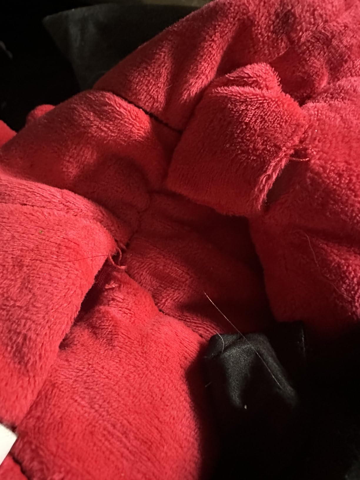 Menstruation Crustacean Lobster Heating Pad by Relatable | Microwavable, Lavender-Scented Plush for Period Cramps Relief. Includes 1 Lobster Heating Pad Plushy customer photo 1