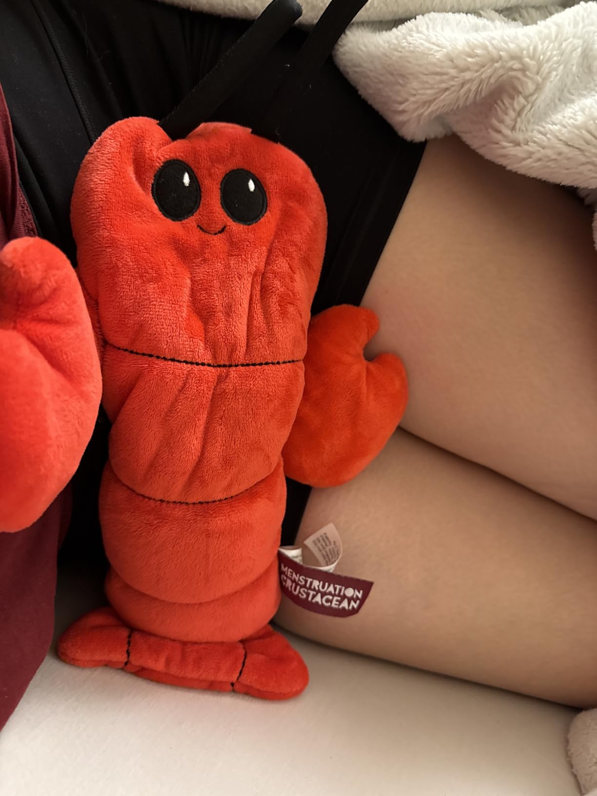 Menstruation Crustacean Lobster Heating Pad by Relatable | Microwavable, Lavender-Scented Plush for Period Cramps Relief. Includes 1 Lobster Heating Pad Plushy customer photo 2