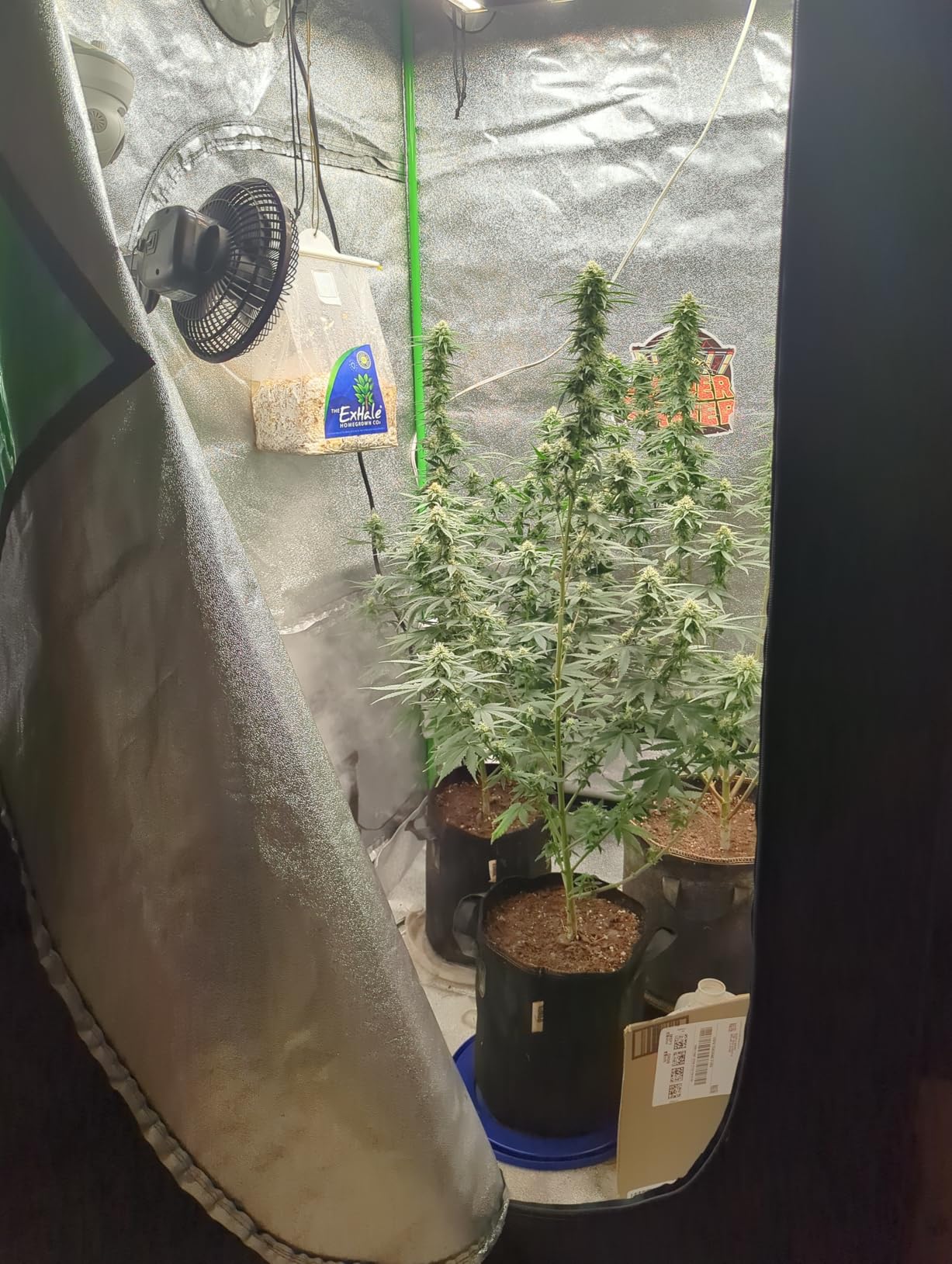 Spider Farmer 4x2 Grow Tent 48