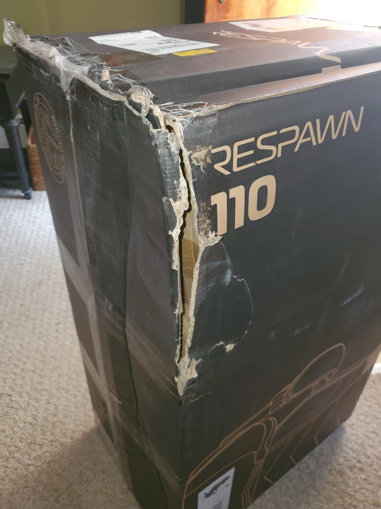RESPAWN 110 Pro Ergonomic Gaming Chair with Footrest and Recline customer photo 1