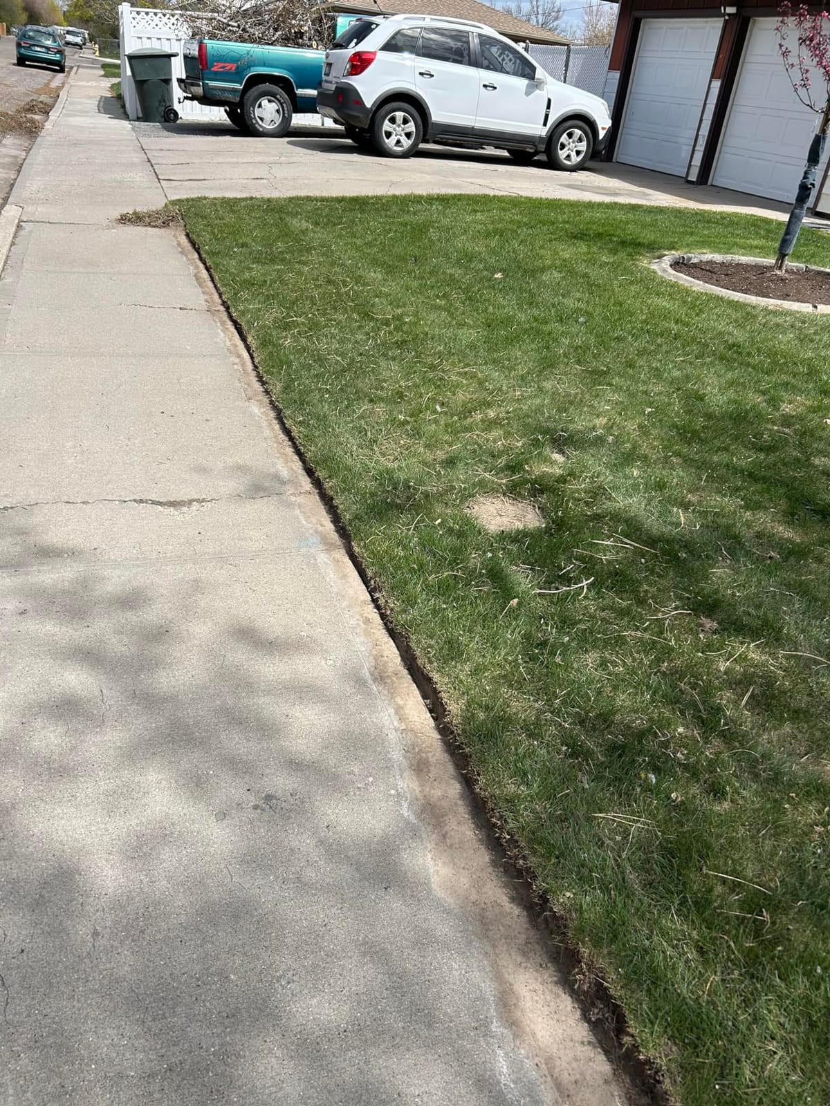 CRAFTSMAN Cordless Edger Lawn Tool, 20V MAX Battery, Charger and Blade Included, Lightweight Lawn Edger, 7.5 in Cutting Width, 1000 Ft of Edging per Charge (CMCED400D1) customer photo 2