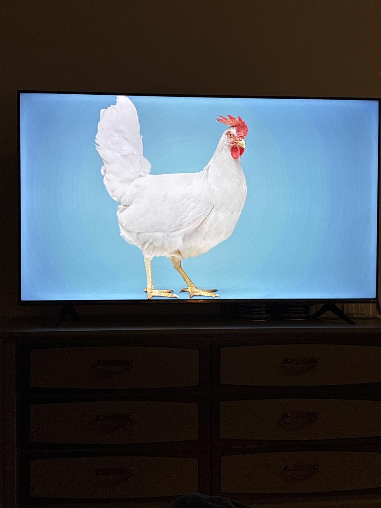 Hisense 43-Inch Class R6 Series 4K UHD Smart Roku TV with Alexa Compatibility, Dolby Vision HDR, DTS Studio Sound, Game Mode (43R6G) customer photo 2