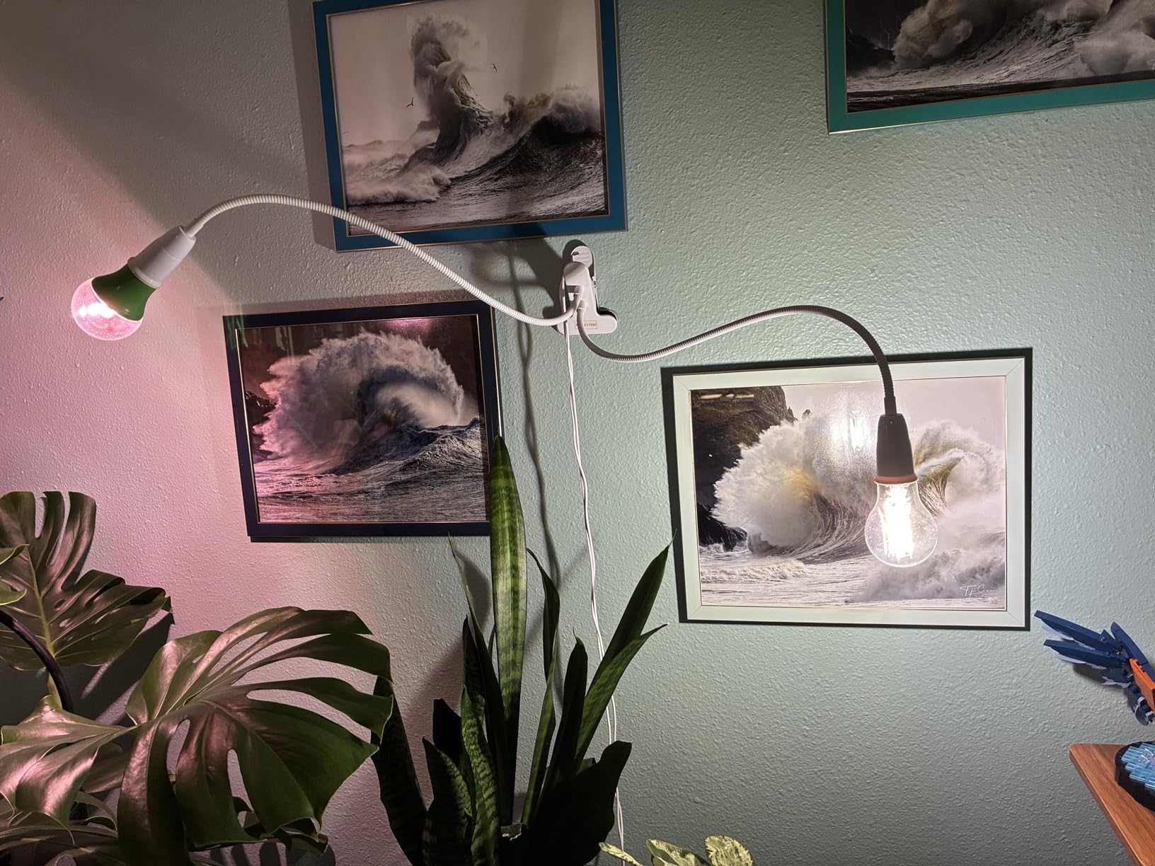 SANSI Grow Lights for Indoor Plants, 20W Clip-On Gooseneck LED Plant Lights customer photo 1