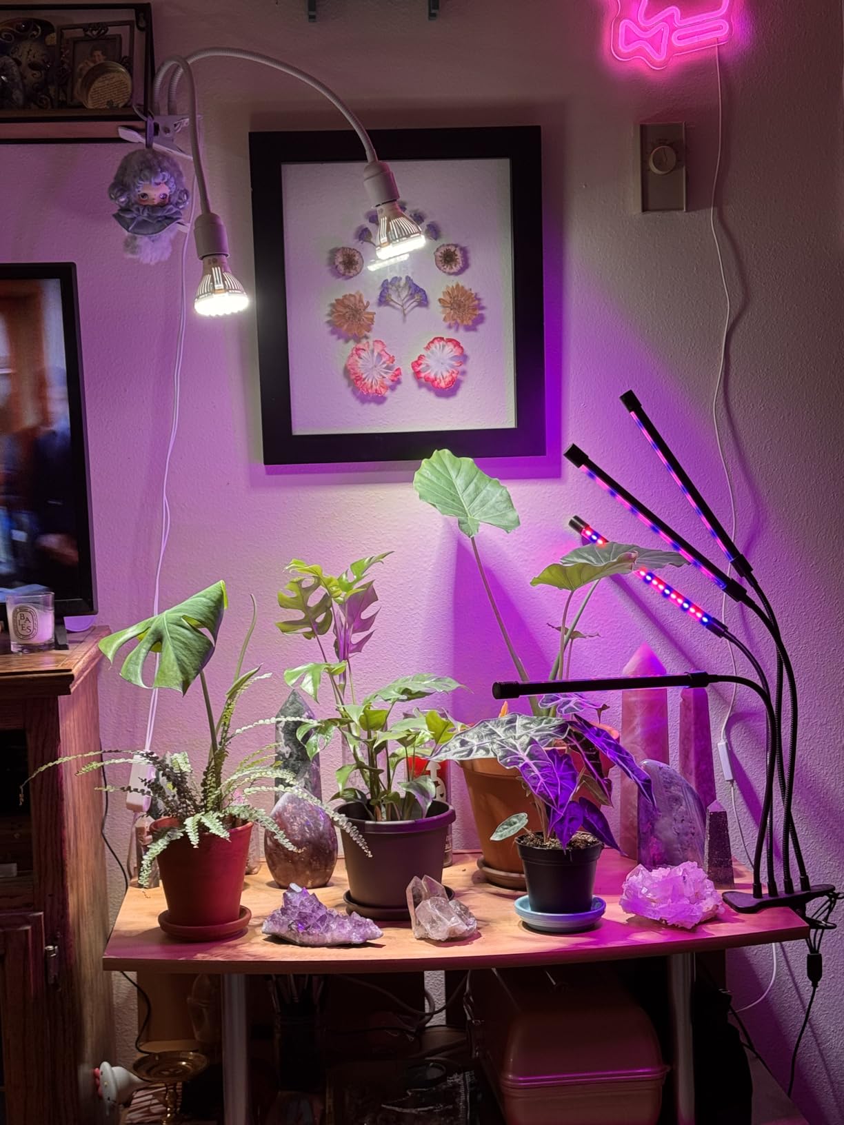 SANSI Grow Lights for Indoor Plants, 20W Clip-On Gooseneck LED Plant Lights customer photo 2