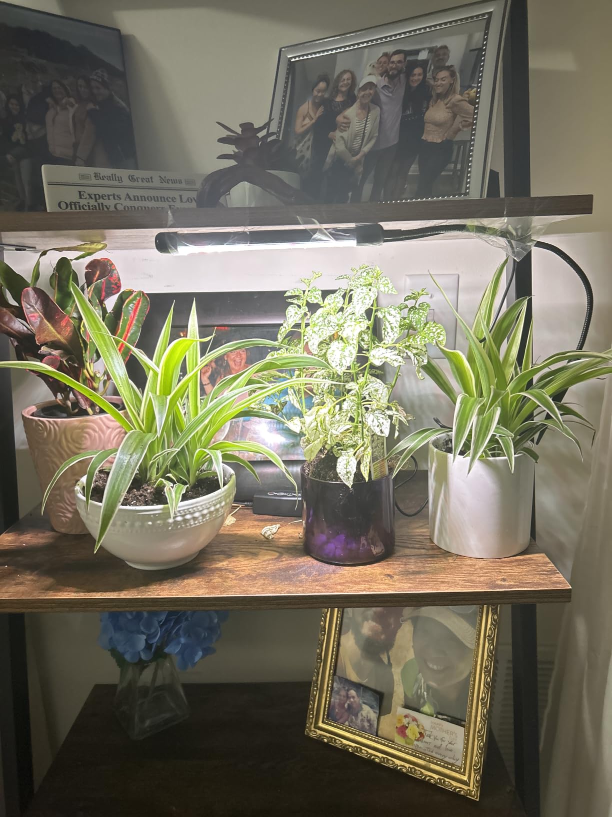 Plant Grow Light,48LED White Red 6000K Full Spectrum Gooseneck Growing Lamp customer photo 2