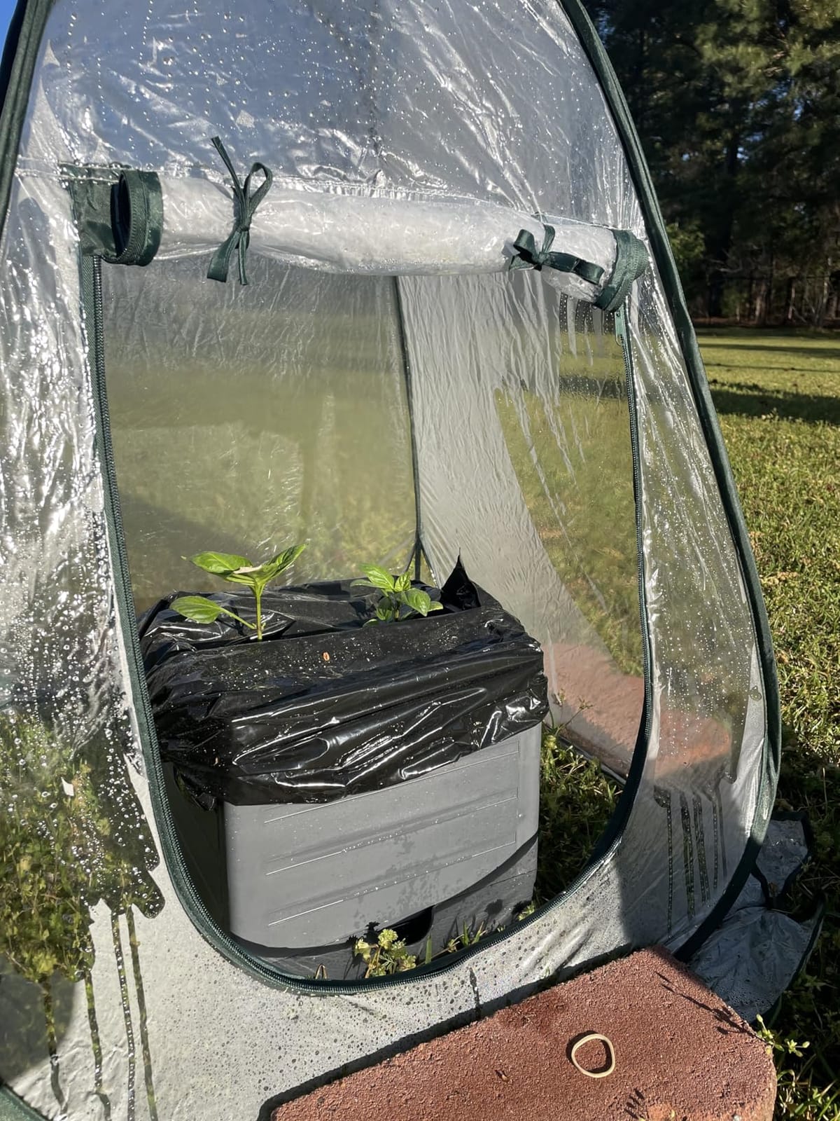 Gardzen 2 Pack 27