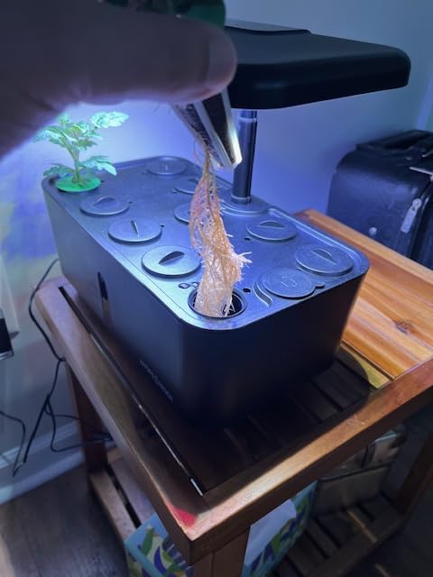 Ahopegarden Indoor Garden Hydroponics Growing System: 10 Pods Kit with LED customer photo 1