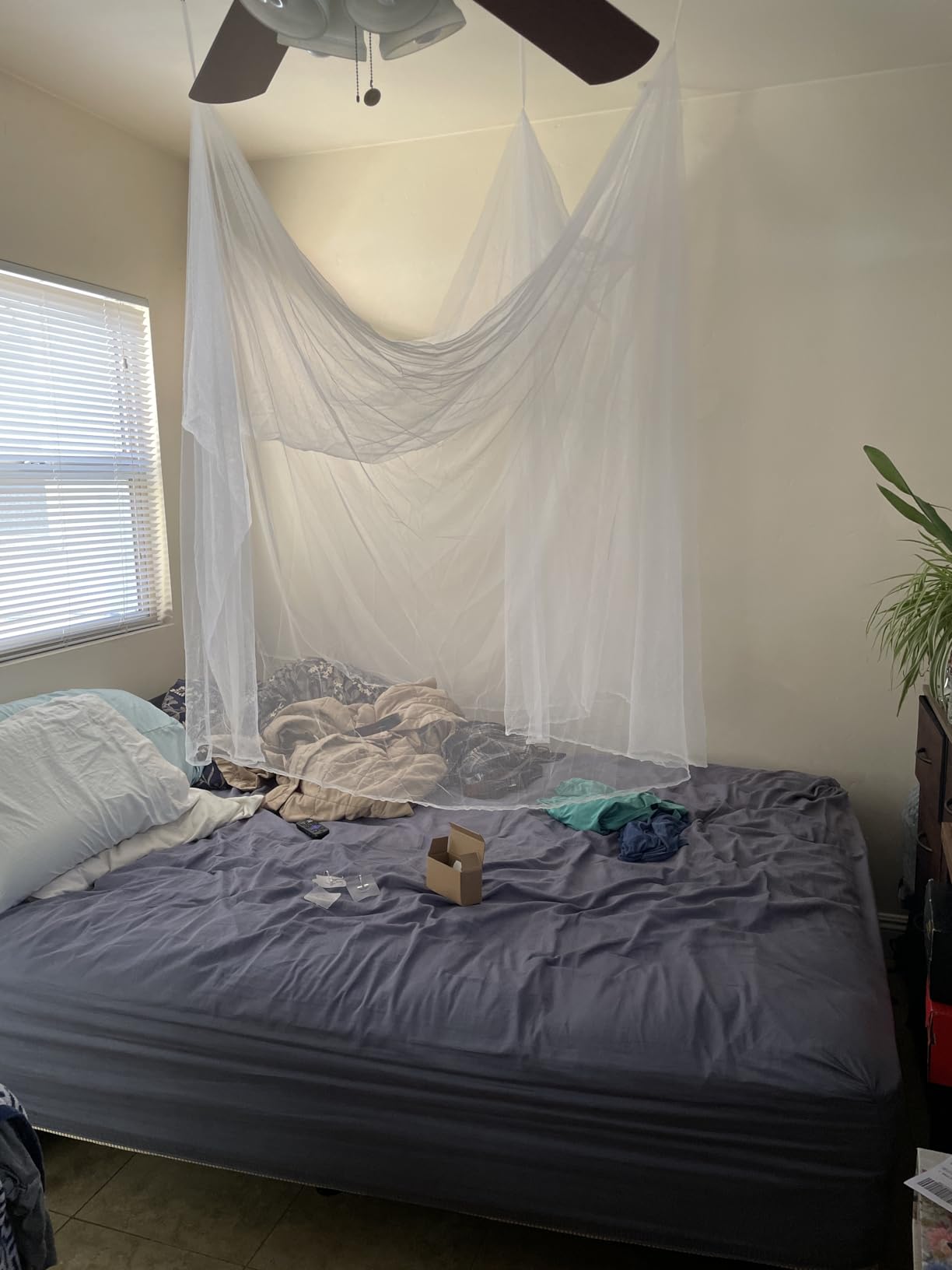 Premium Bed Mosquito Net - Full & Queen Size, Elegant White Rectangular Canopy, 360° Protection with Breathable Mesh and Easy Installation customer photo 2