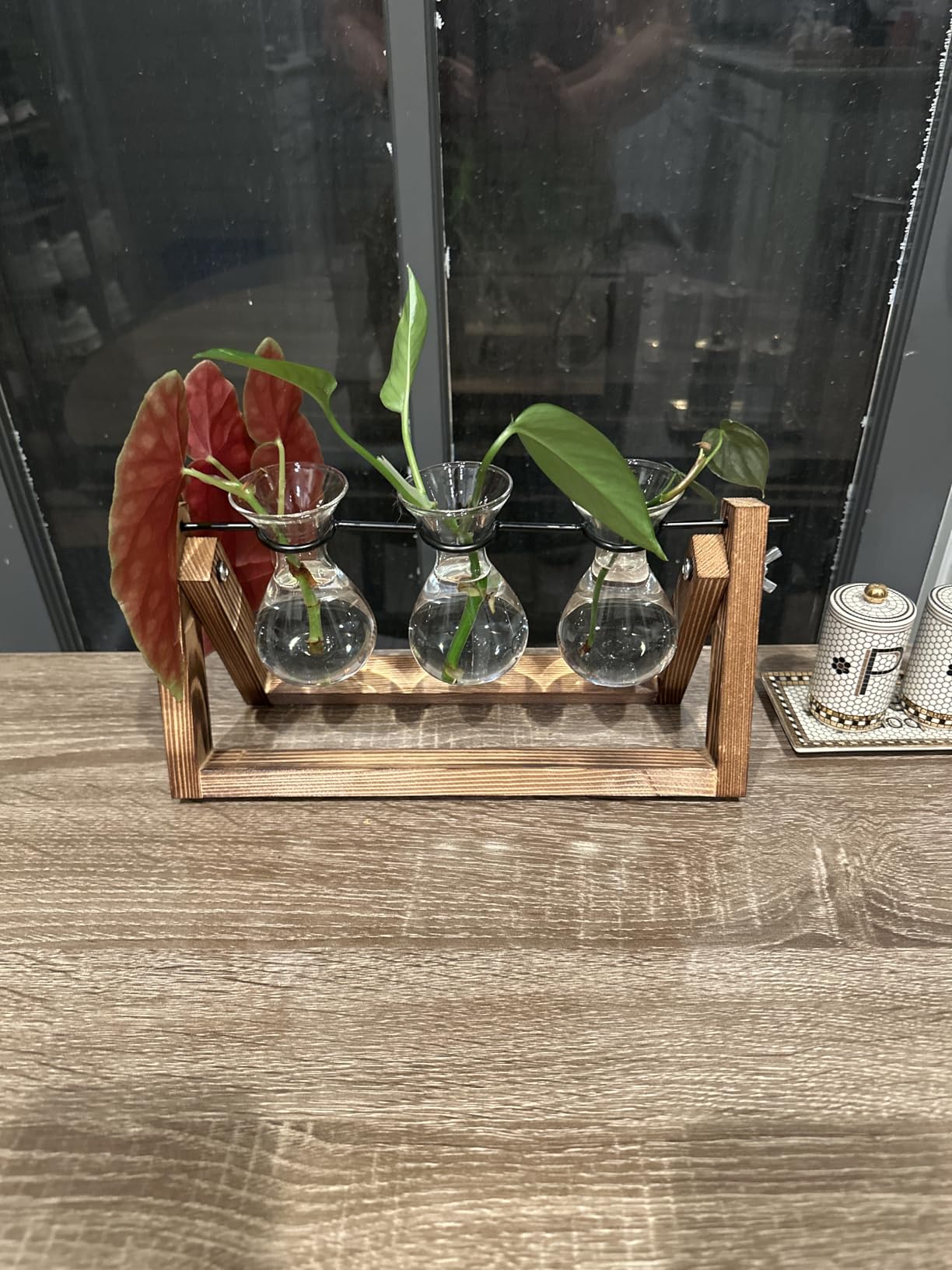 YIBOT Propagation Stations,Plant Terrarium with Wooden Stand-3 Glass Vases customer photo 2
