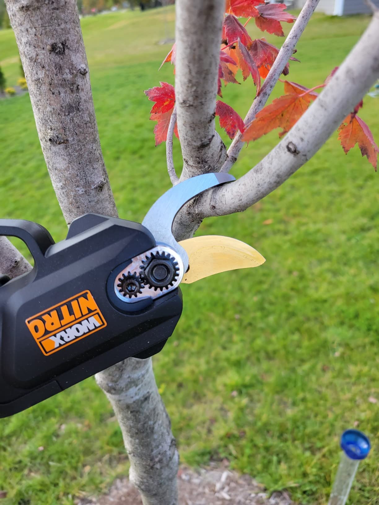 WORX Cordless Pruning Shear, 20V Powered Lopper, WG330 customer photo 1