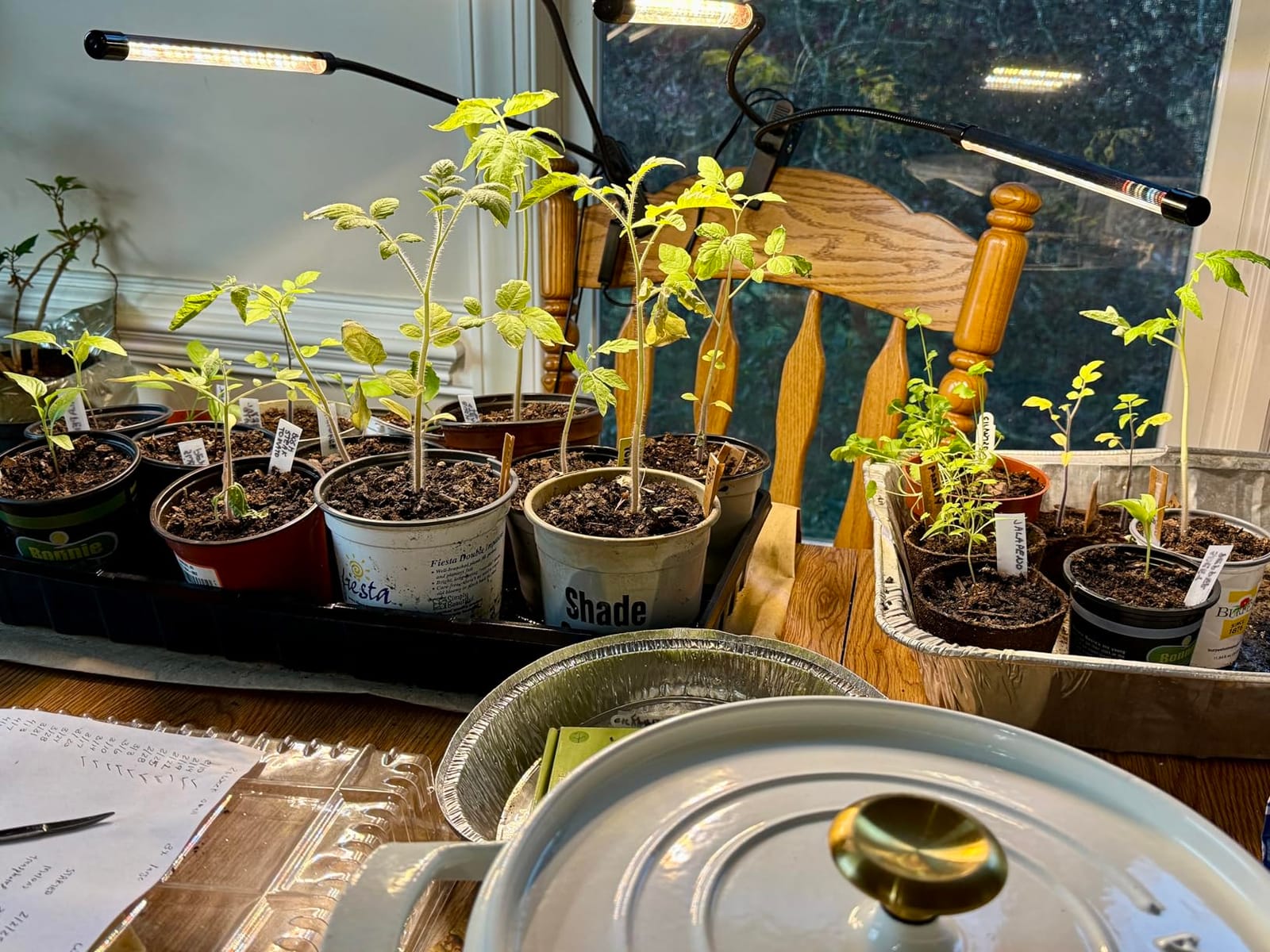Grow Lights for Indoor Plants, Full Spectrum Tri-Head Clip Plant Lights customer photo 2