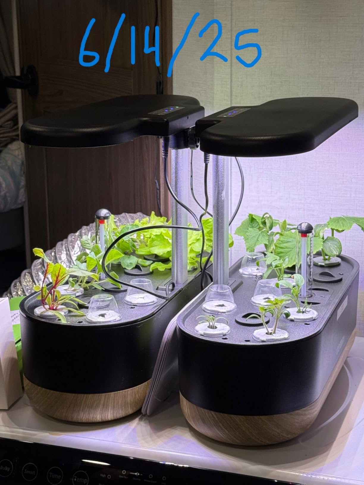 inbloom Hydroponics Growing System 12 Pods, Indoor Herb Garden with LEDs Full-Spectrum Plant Grow Light, Water Shortage Alarm, Automatic Timer, Height Adjustable, Ideal Gardening Gifts for Women customer photo 1