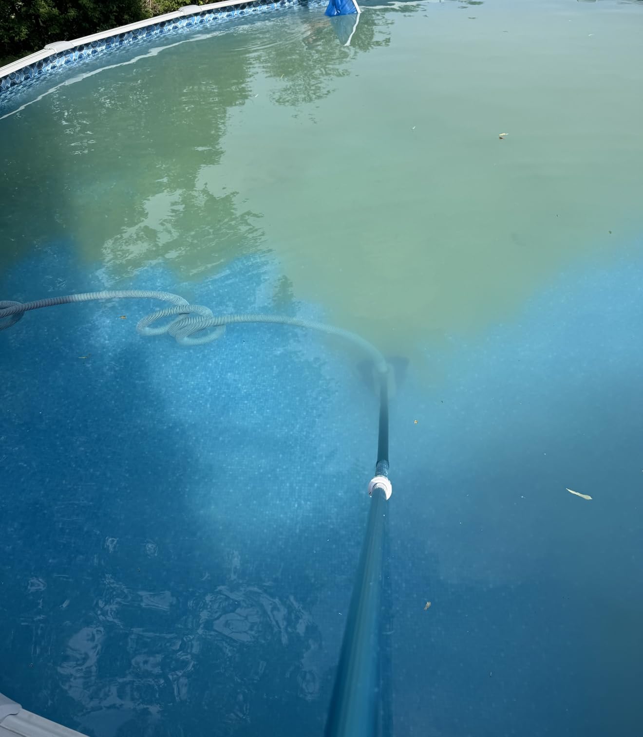 POOLWHALE Above Ground Pool Vacuum with Hose, 1-1/2 In x 24-Feet customer photo 1