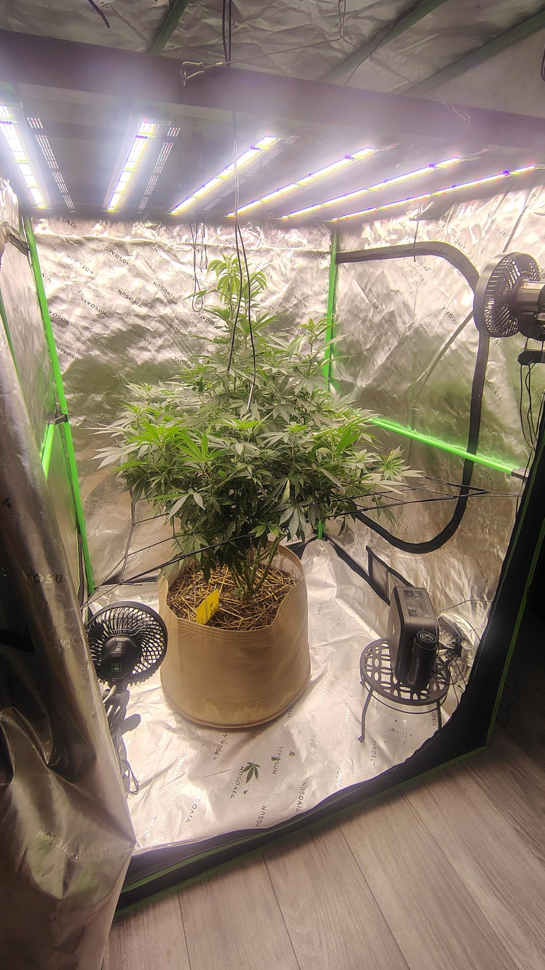 VIVOSUN AeroWave E6 Gen2 Grow Tent Oscillating Clip Fan, 6