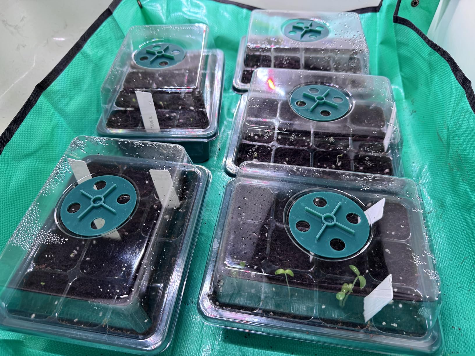 Wolezek Clip on Grow Lights for Indoor Plants, Full Spectrum 6000K customer photo 1