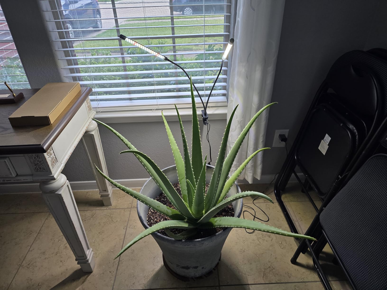 Wolezek Clip on Grow Lights for Indoor Plants, Full Spectrum 6000K customer photo 2