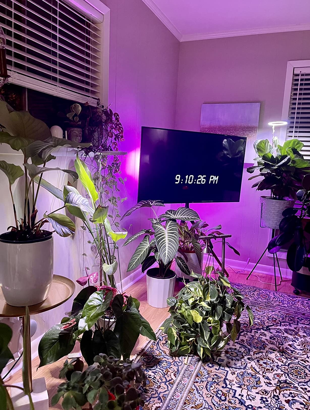 Plant Grow Light,yadoker LED Growing Light Full Spectrum for Indoor Plants,Height Adjustable, Automatic Timer, 5V Low Safe Voltage,Idea for Large Plant Light customer photo 2