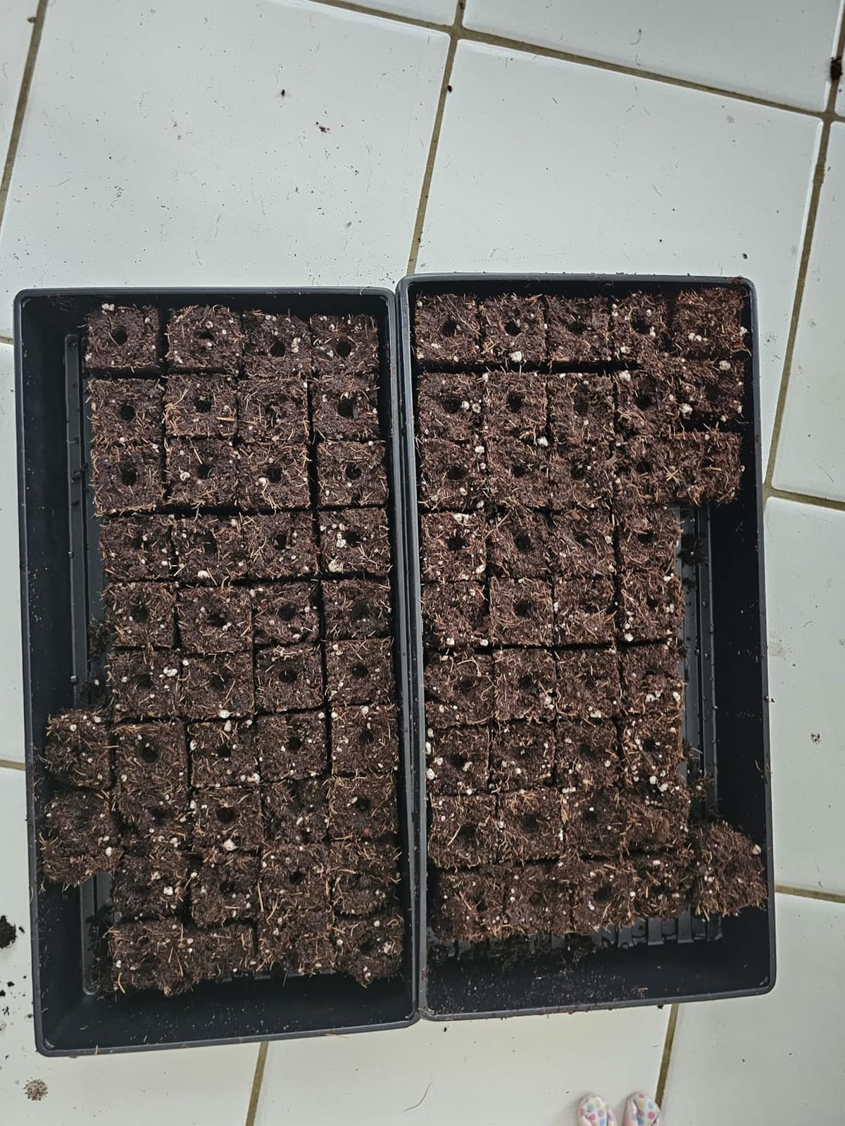 BlumWay Soil Blocker, 8 Cell 2 inch Soil Block Maker for Seed Starting customer photo 1