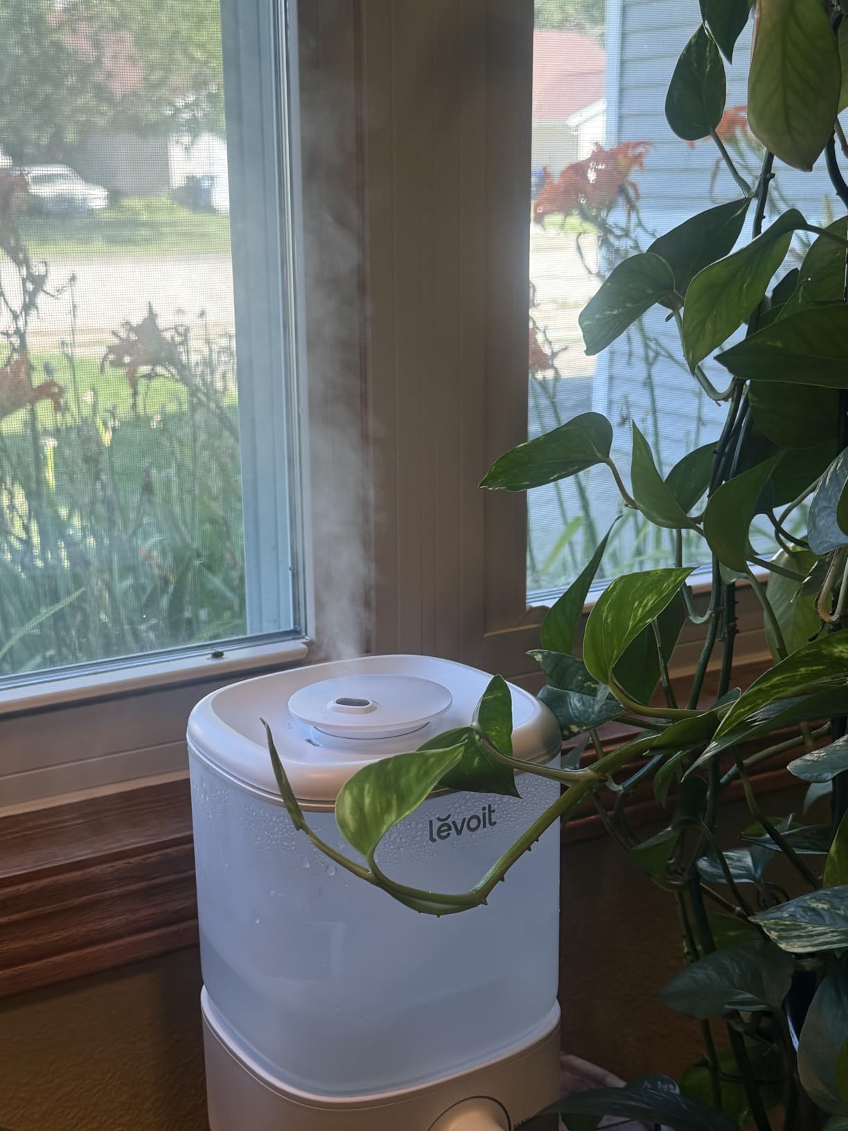 Levoit Top Fill Humidifiers for Bedroom, 2.5L Tank for Large Room, 25dB | Easy to Fill & Clean, Quiet Cool Mist Air Humidifier for Home Baby Nursery & Plants, Auto Shut-off for Safety, 25H Lasting customer photo 1