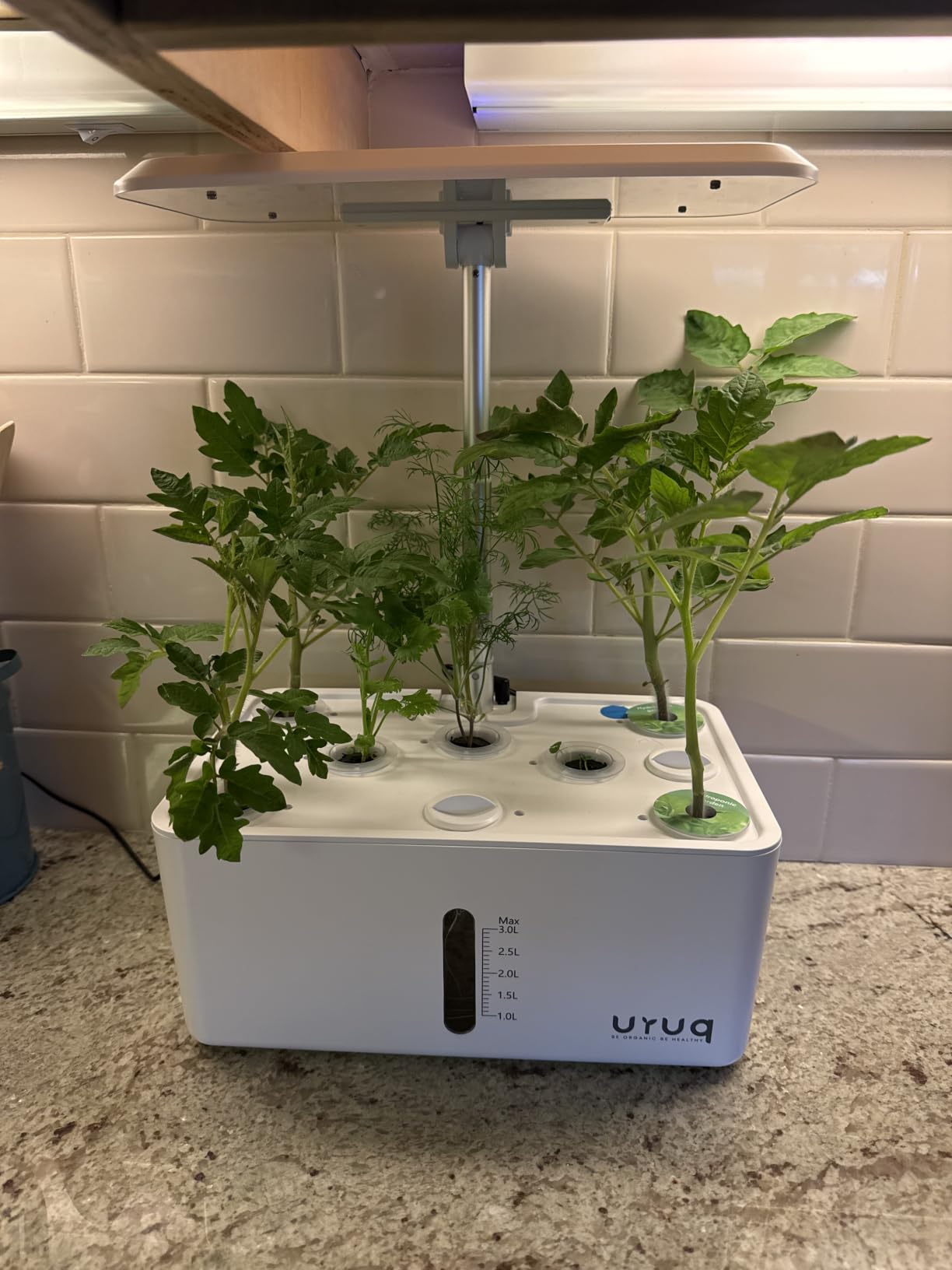 URUQ 8 Pods Hydroponics Growing System with LED Grow Light - White customer photo 2