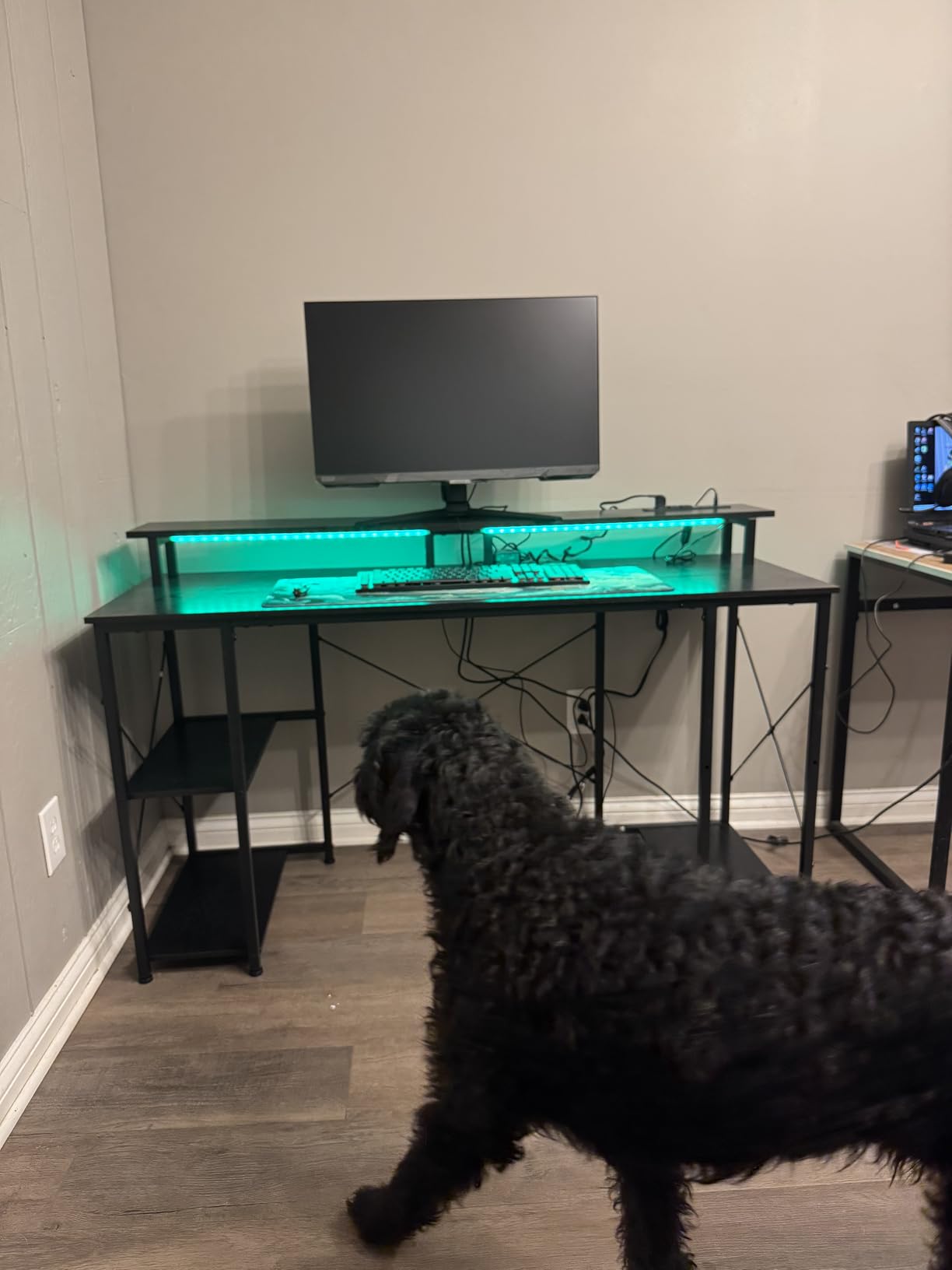 ODK 48 Inch Gaming Desk with LED Lights & Storage Shelves, Black | Customizable LED lighting • Raised monitor stand • Dedicated CPU stand • Organized gaming setup • Gaming & home office customer photo 2