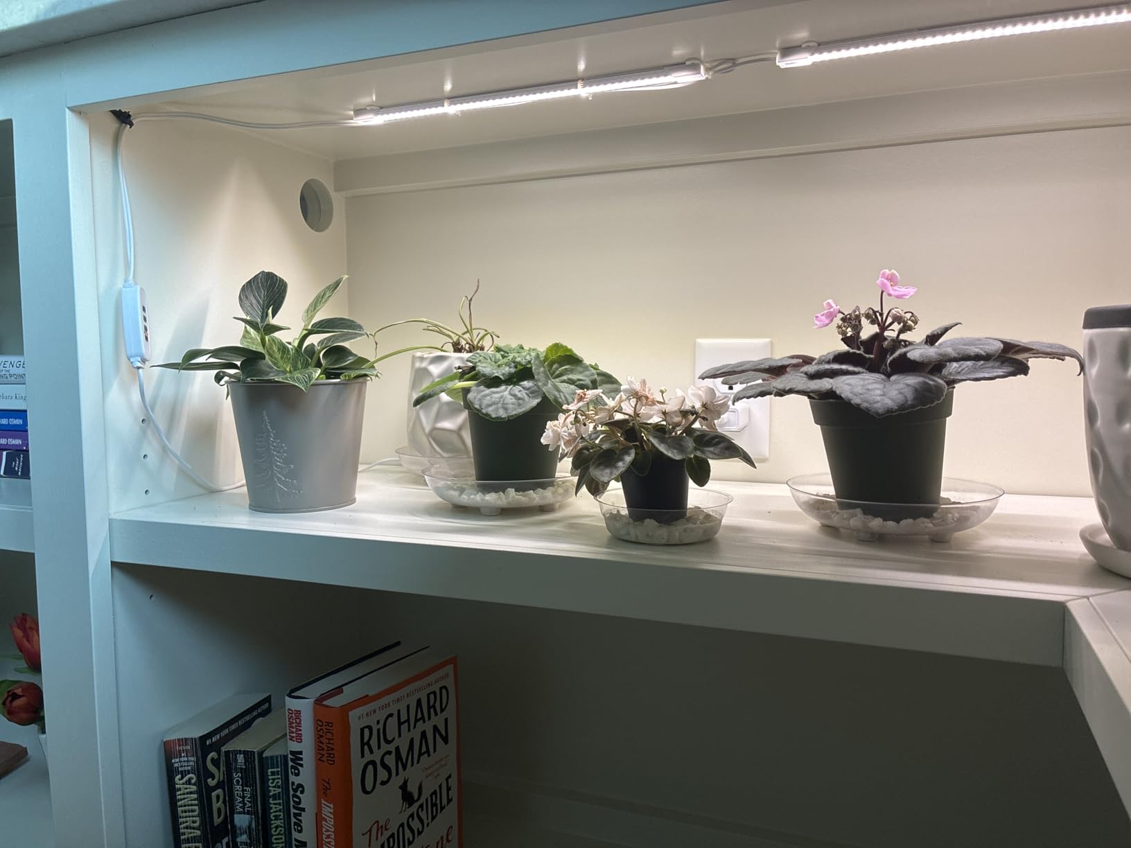 Hywyimlait LED Grow Light Strips for Indoor Plants Full Spectrum 3500K, 96 LEDs Plant Light Bar with 3/9/12H Timer, 10 Dimmable Levels for Seedling Succulent and Shelf, 13 Inches, 1 Head 2 Pack customer photo 1