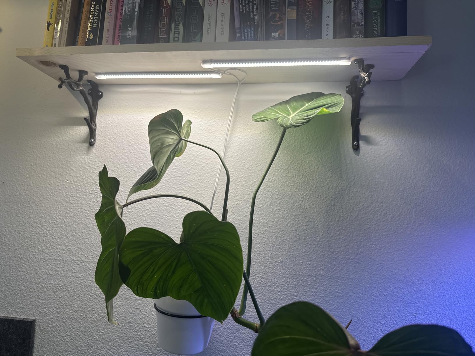 Hywyimlait LED Grow Light Strips for Indoor Plants Full Spectrum 3500K, 96 LEDs Plant Light Bar with 3/9/12H Timer, 10 Dimmable Levels for Seedling Succulent and Shelf, 13 Inches, 1 Head 2 Pack customer photo 2