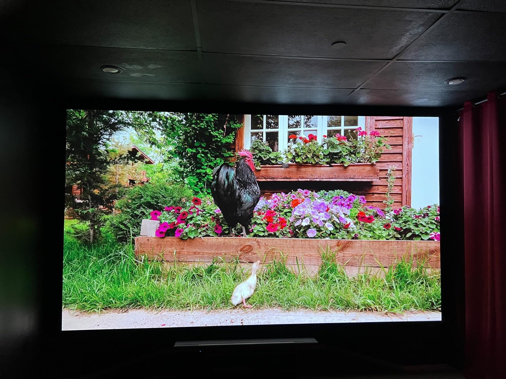 ViewSonic LX700-4K 4K UHD Laser Gaming Projector 3500 Lumens 240Hz Xbox customer photo 1
