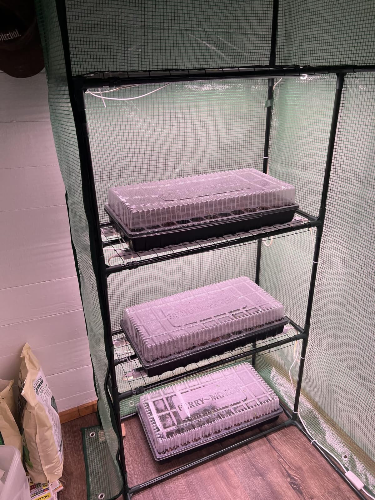 Barrina T5 Grow Lights for Indoor Plants, 2FT 5000K Full Spectrum, 4 Packs customer photo 2