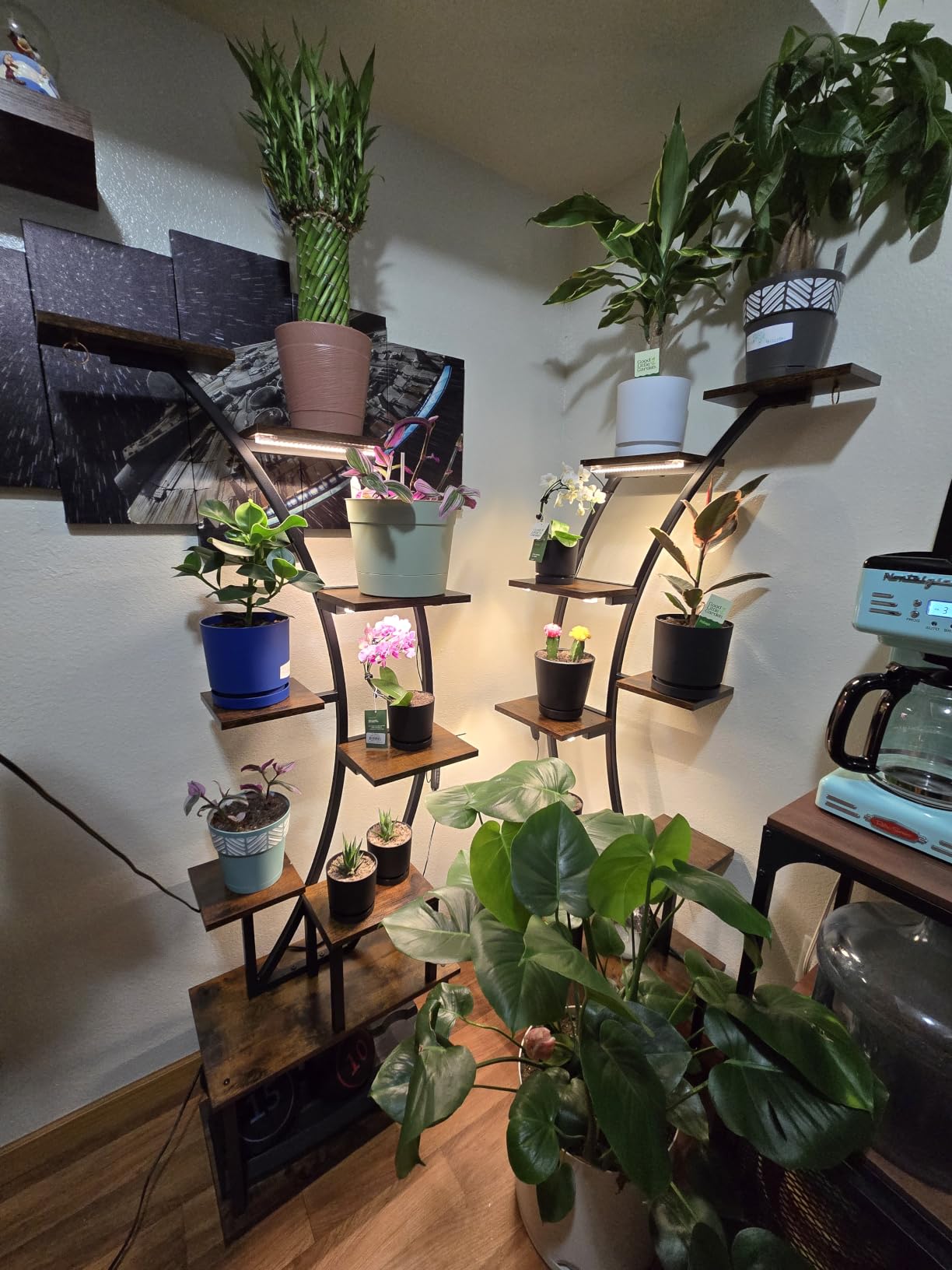 2 Pack Plant Stand Indoor with Grow Lights, 9 Tier Large Tall Plant Shelf customer photo 1