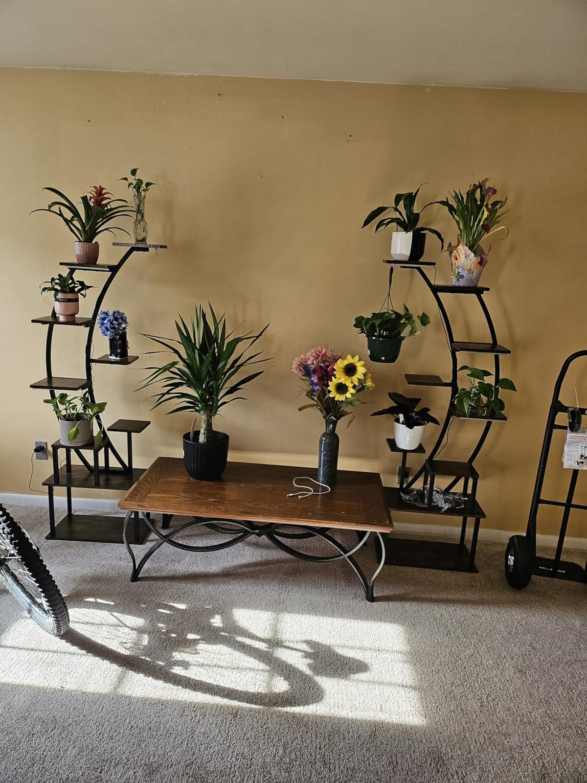 2 Pack Plant Stand Indoor with Grow Lights, 9 Tier Large Tall Plant Shelf customer photo 2